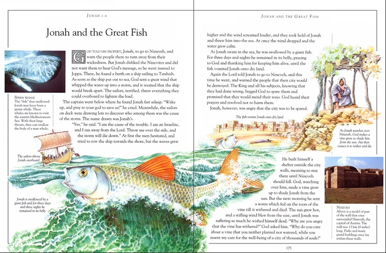 The Children's Illustrated Bible - Image 3