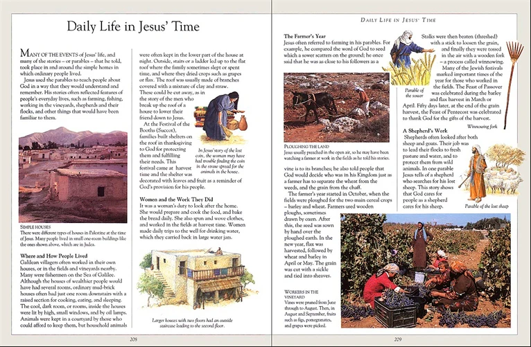 The Children's Illustrated Bible - Image 4