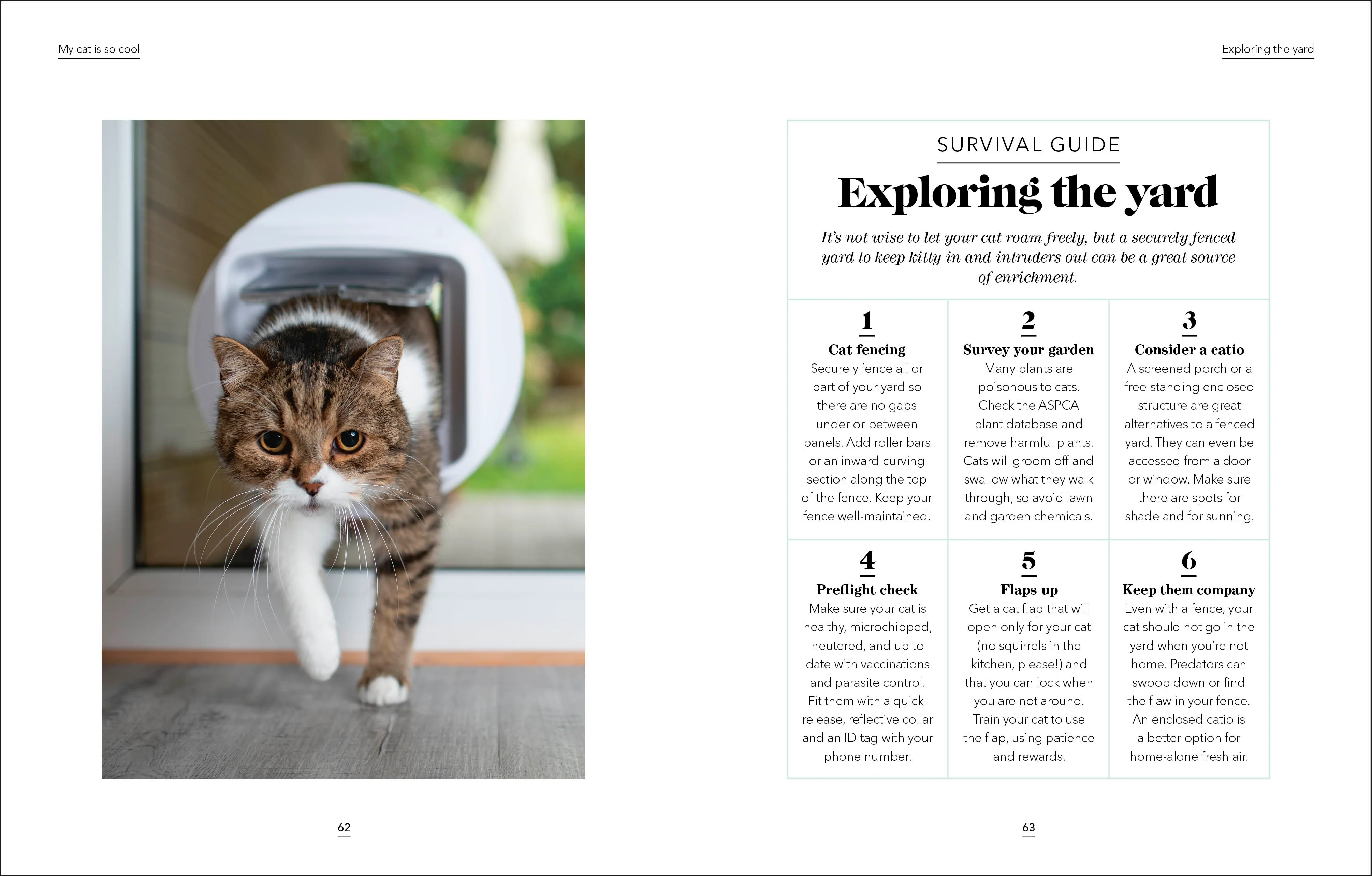 What's My Cat Thinking? - Image 3