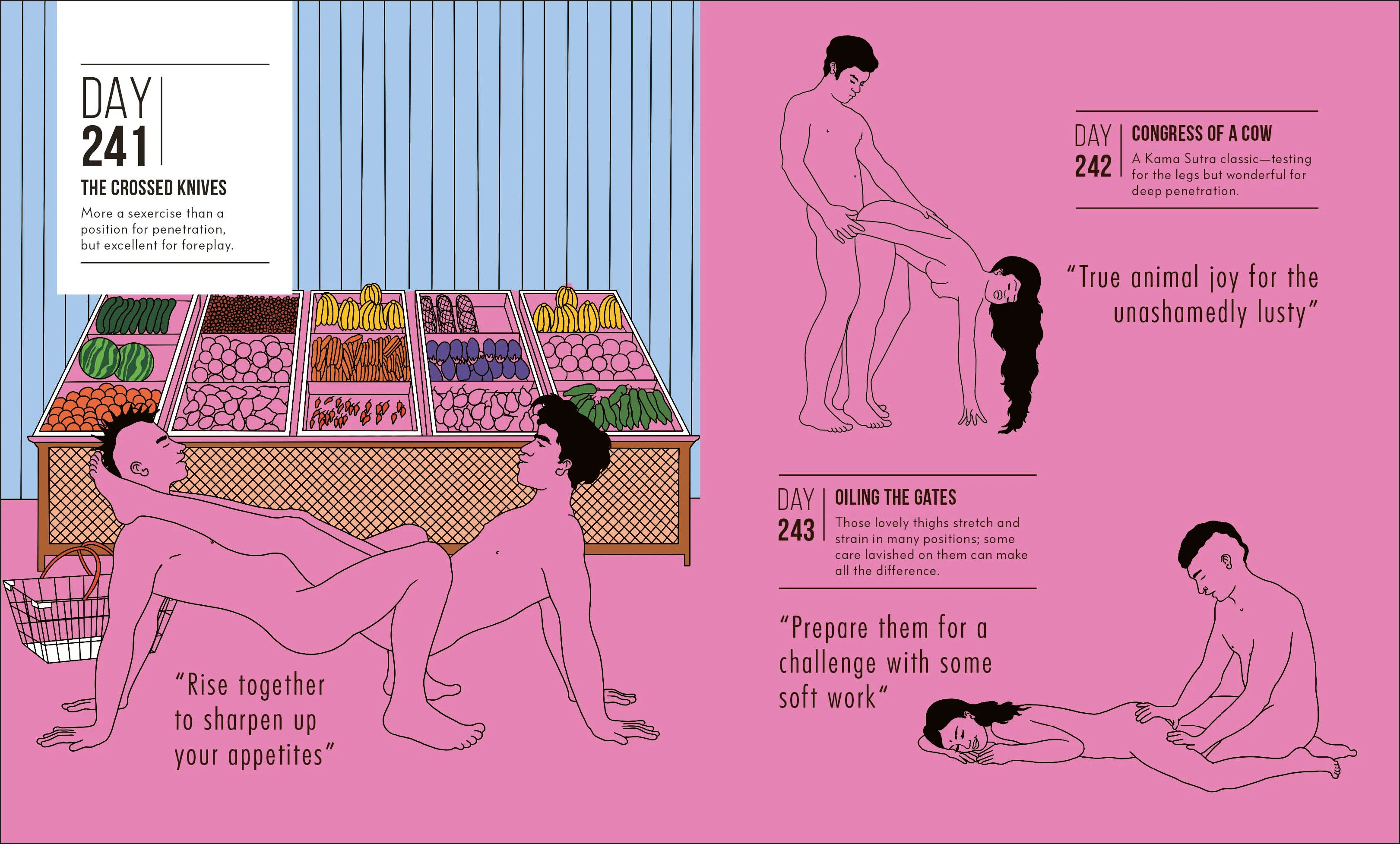 Kama Sutra A Position A Day New Edition - Image 5
