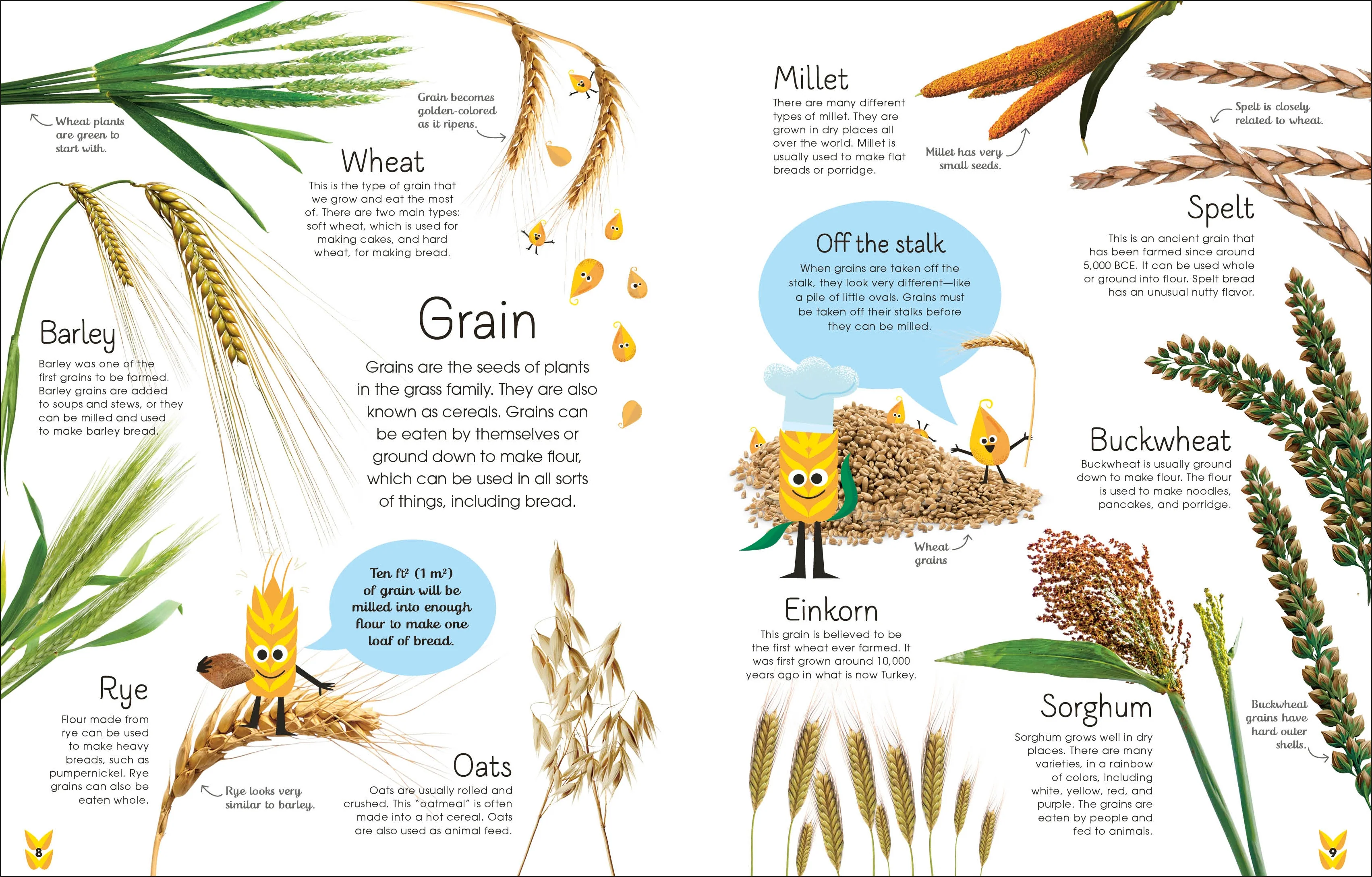 The Best Ever Bread Book - Image 2