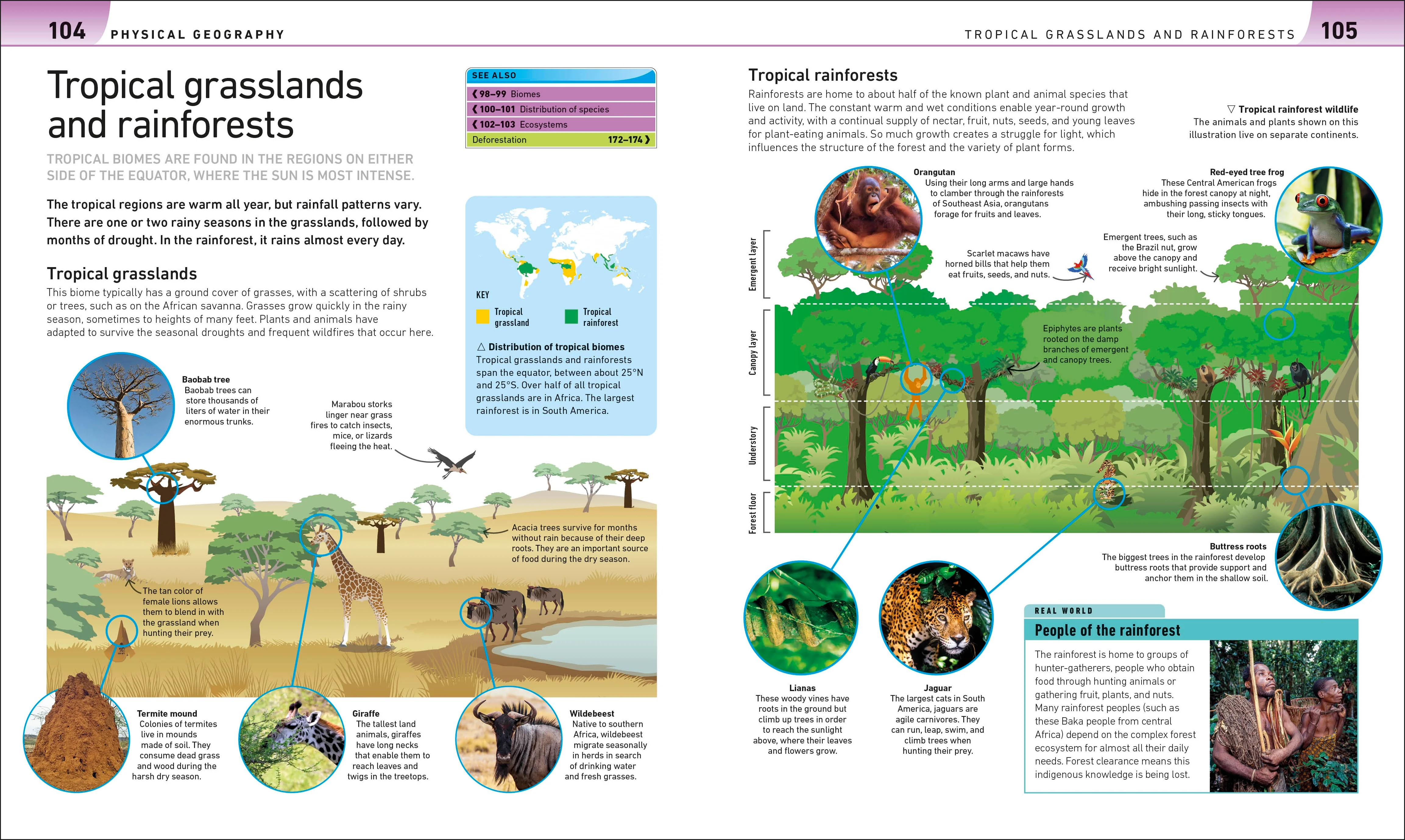 Help Your Kids with Geography, Grades 5-10 - Image 4
