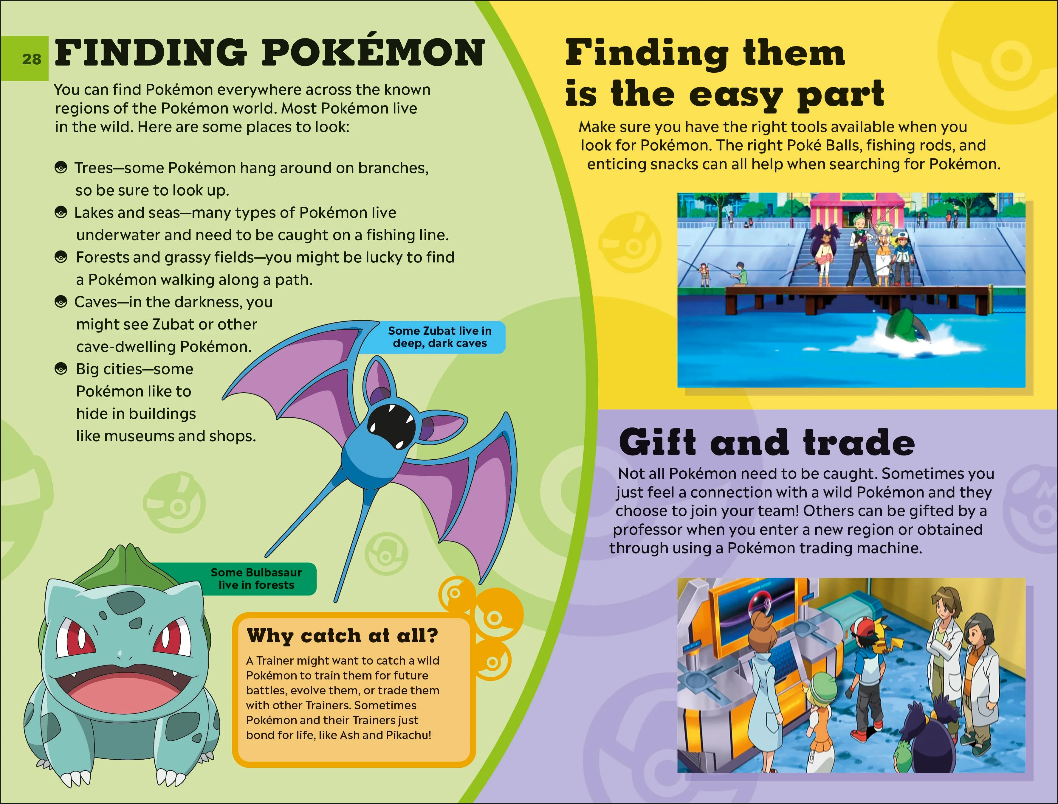 How To Train Your Pokémon - Image 4