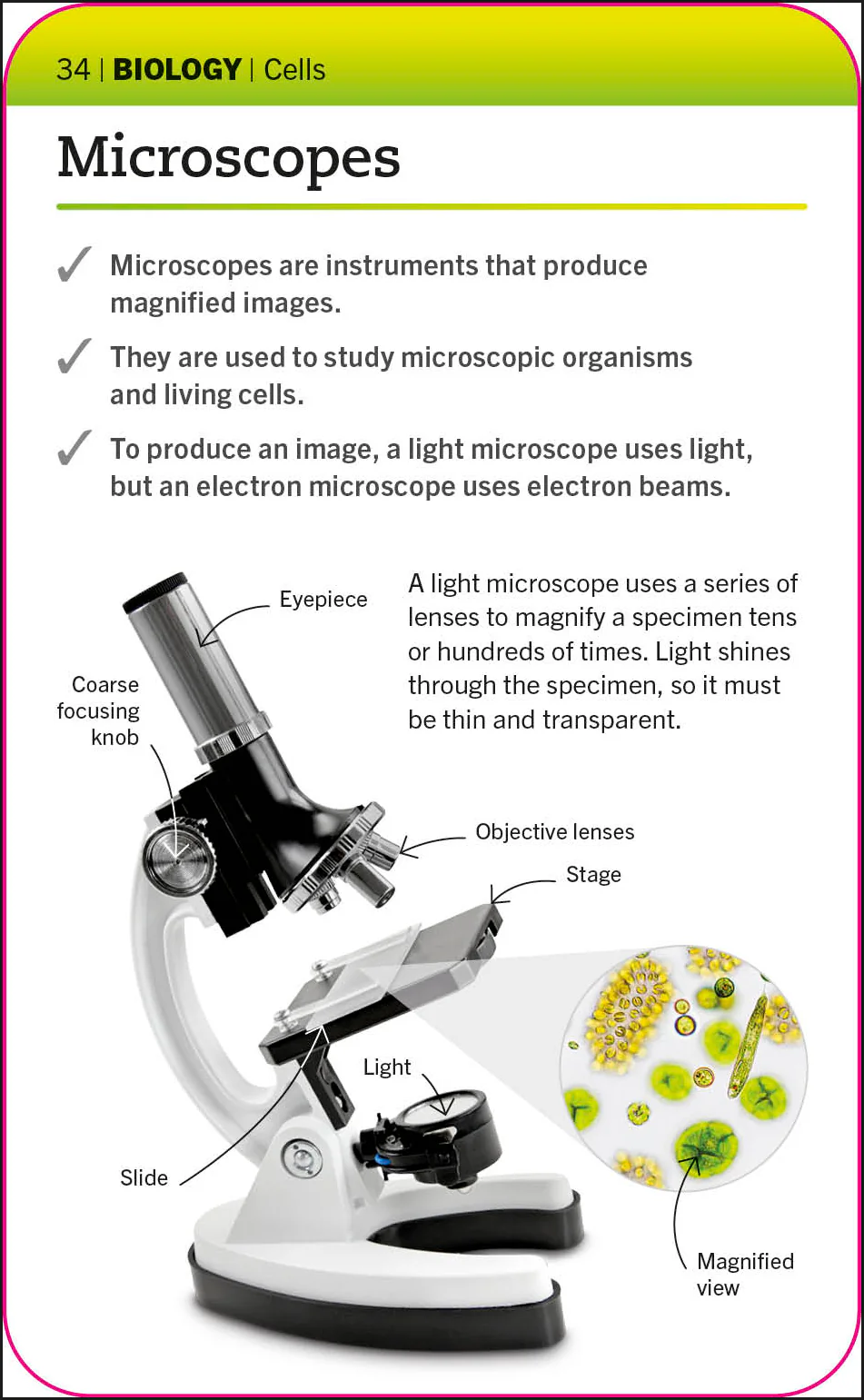 Super Simple Biology Flash Cards - Image 2