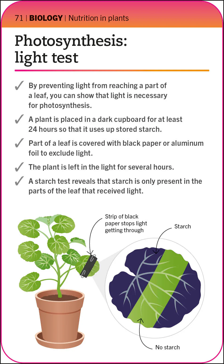 Super Simple Biology Flash Cards - Image 3