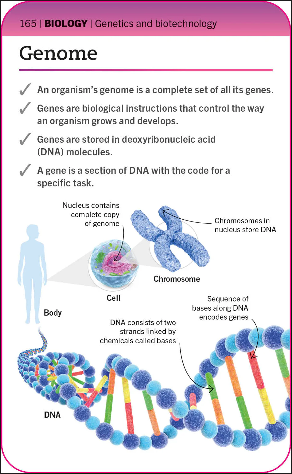 Super Simple Biology Flash Cards - Image 4