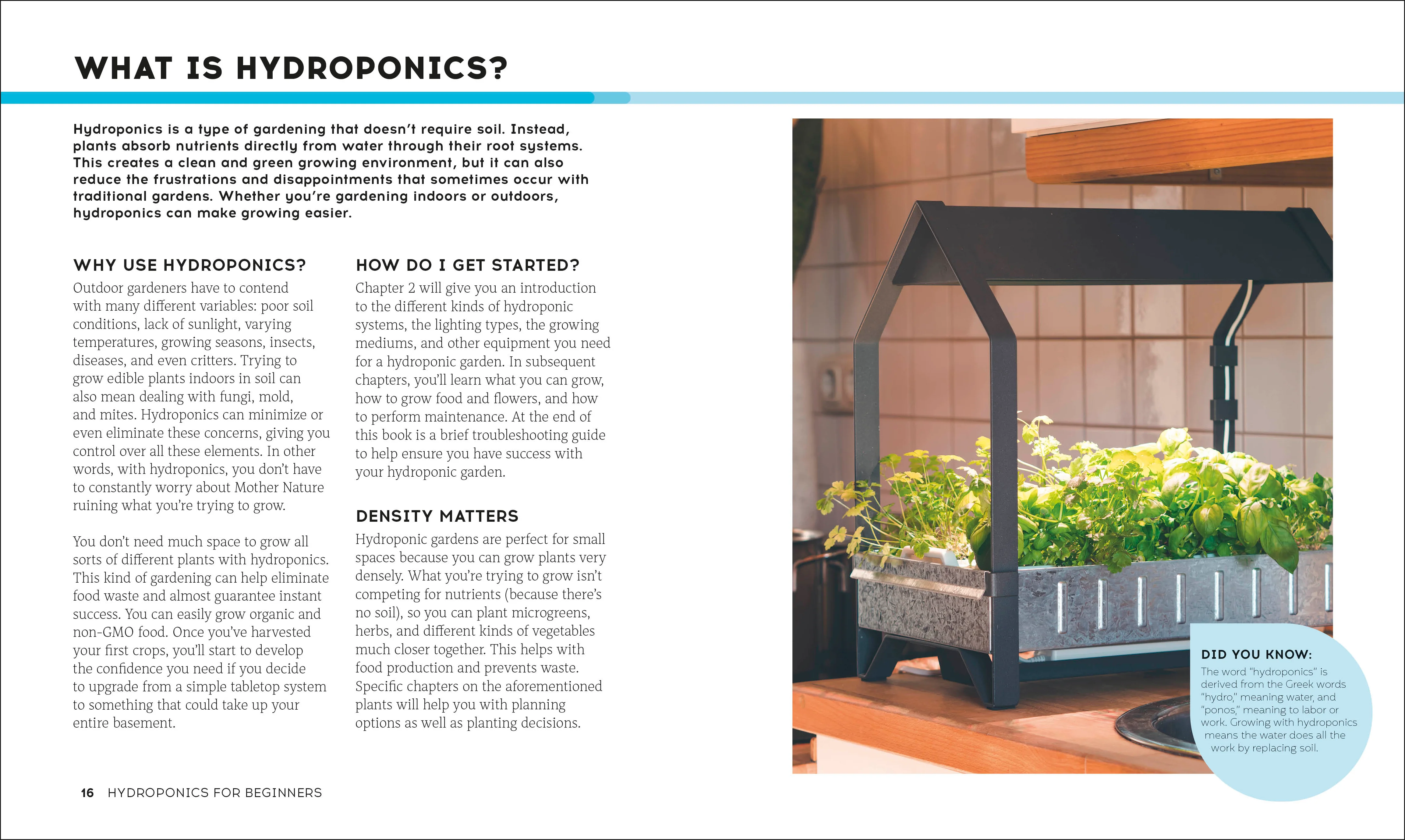 Hydroponics for Beginners - Image 2
