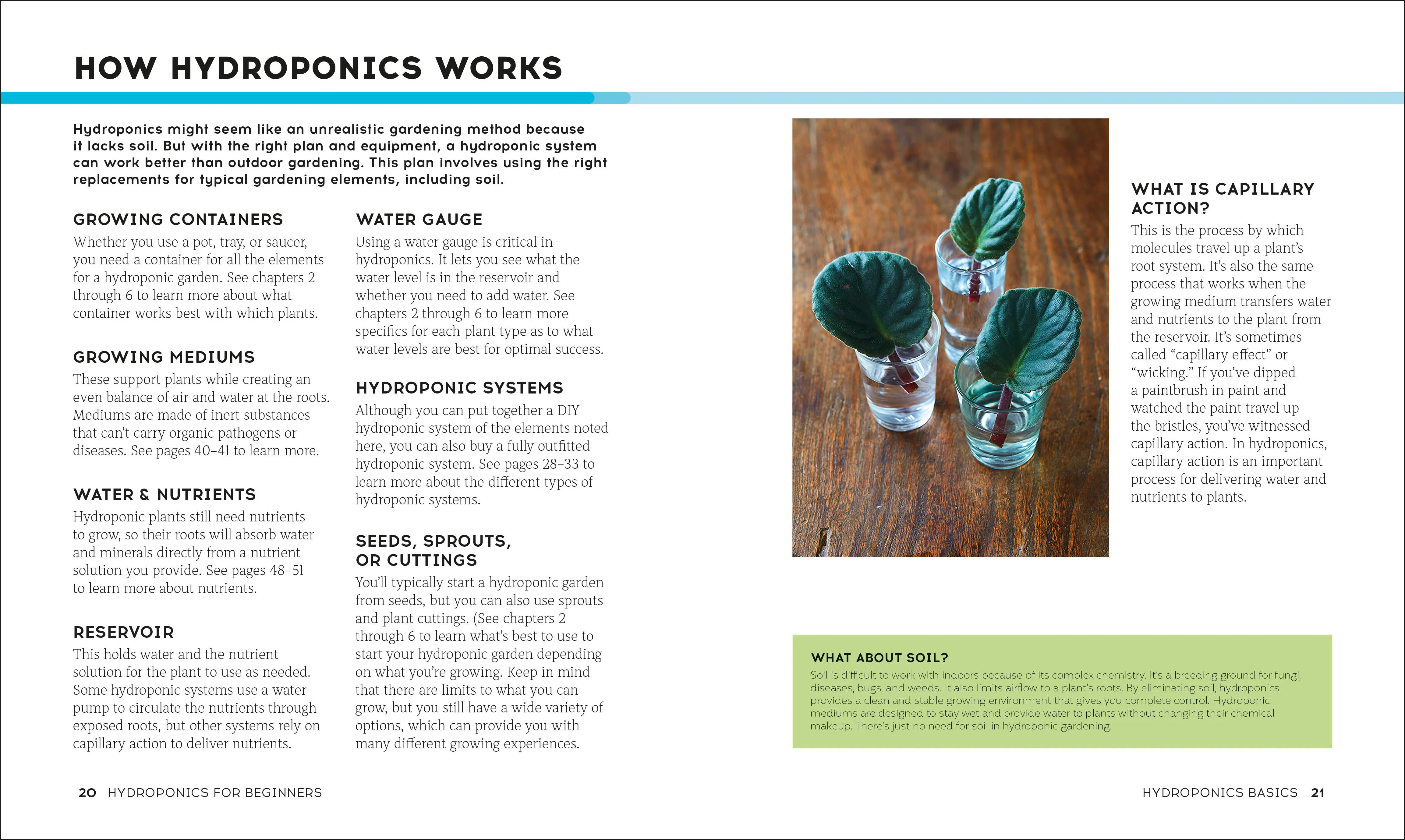 Hydroponics for Beginners - Image 3