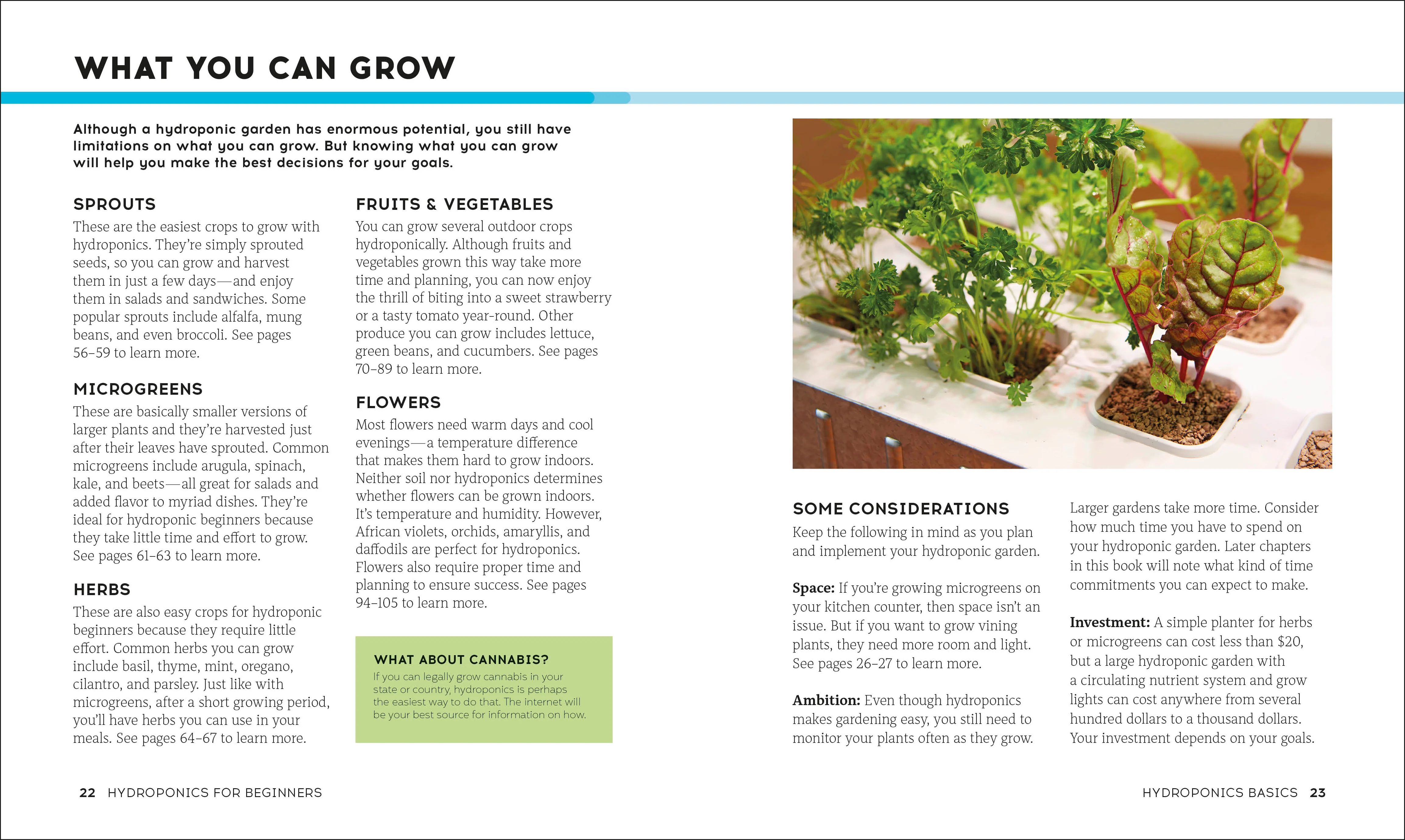 Hydroponics for Beginners - Image 4