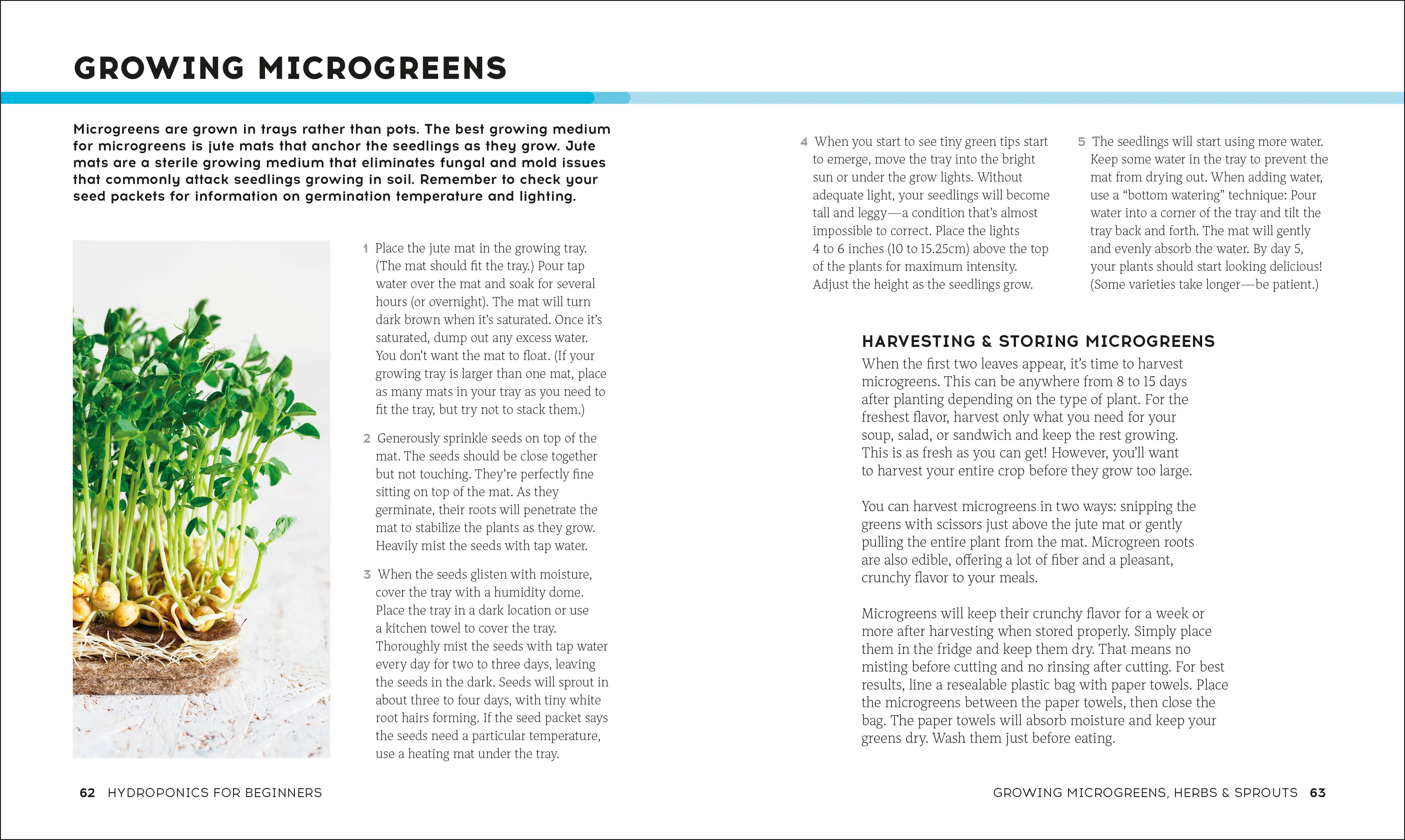 Hydroponics for Beginners - Image 5