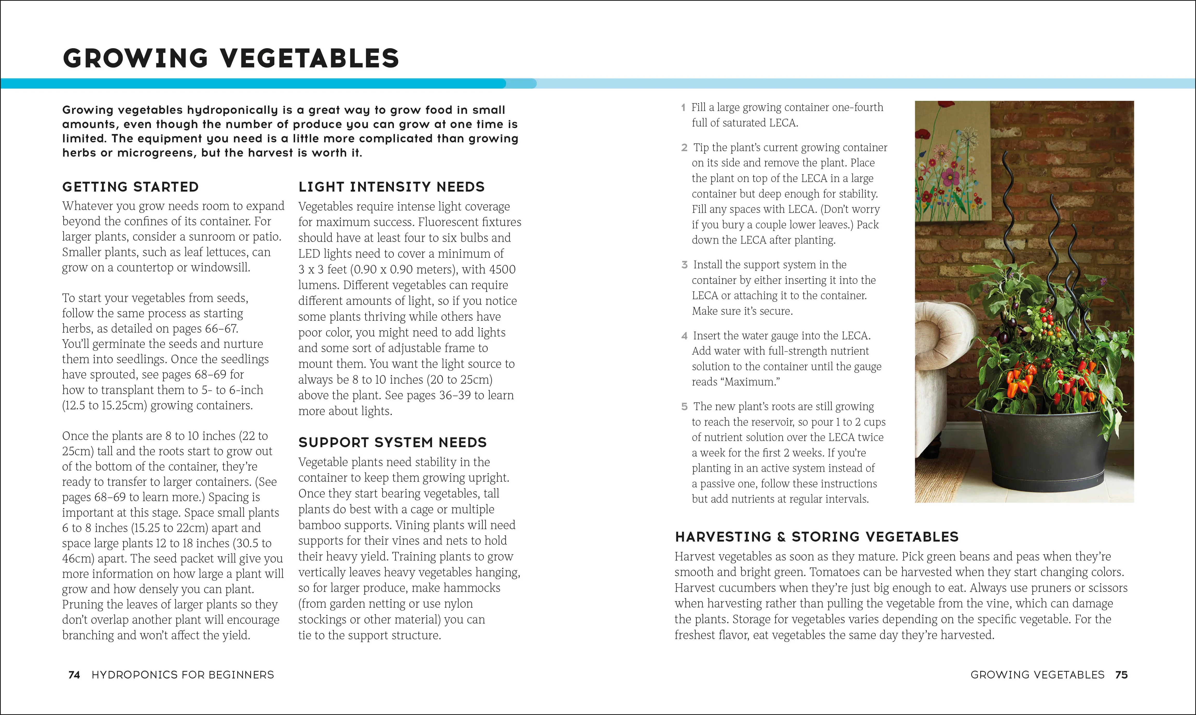Hydroponics for Beginners - Image 6