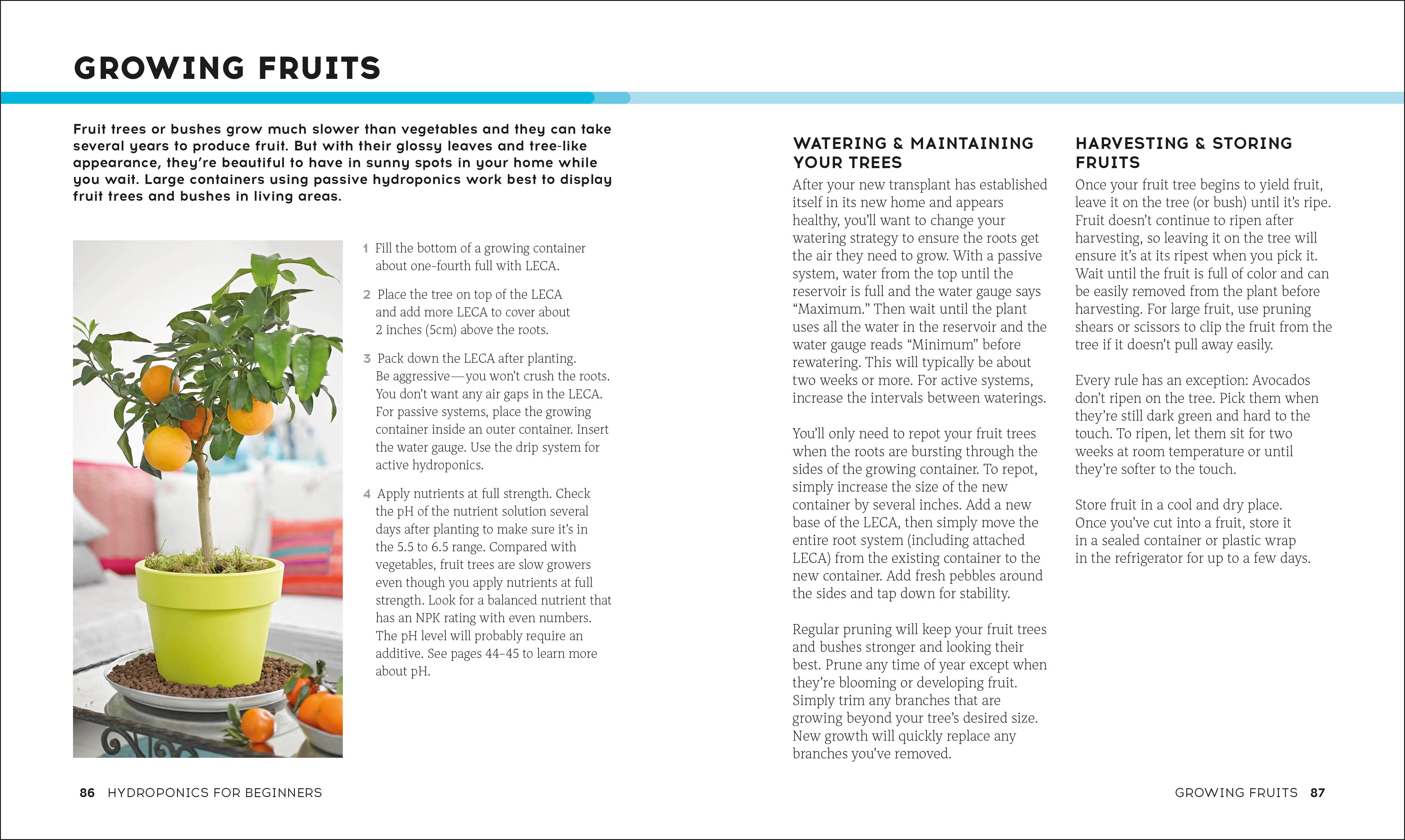 Hydroponics for Beginners - Image 8