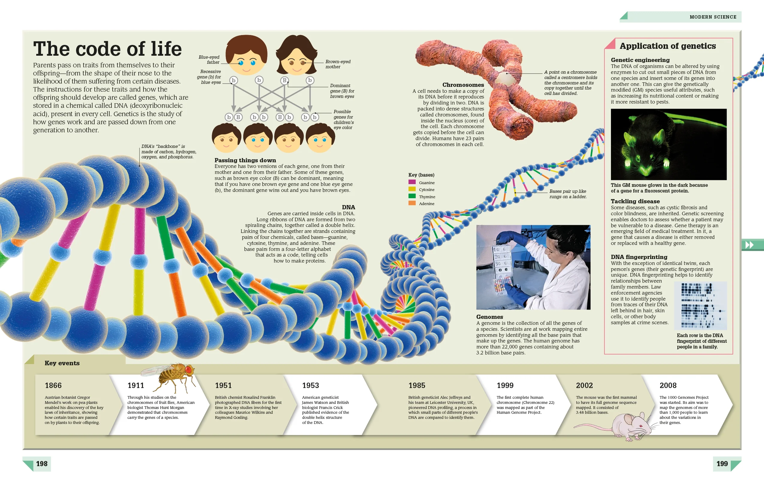 Science Year by Year - Image 7