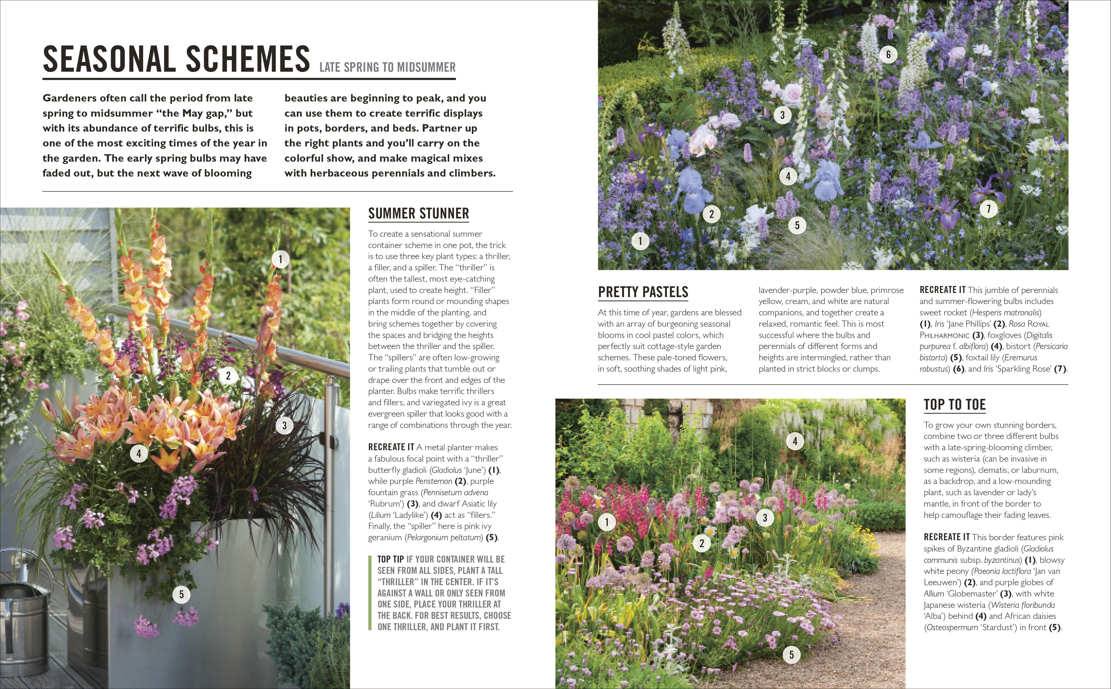 Grow Bulbs - Image 4