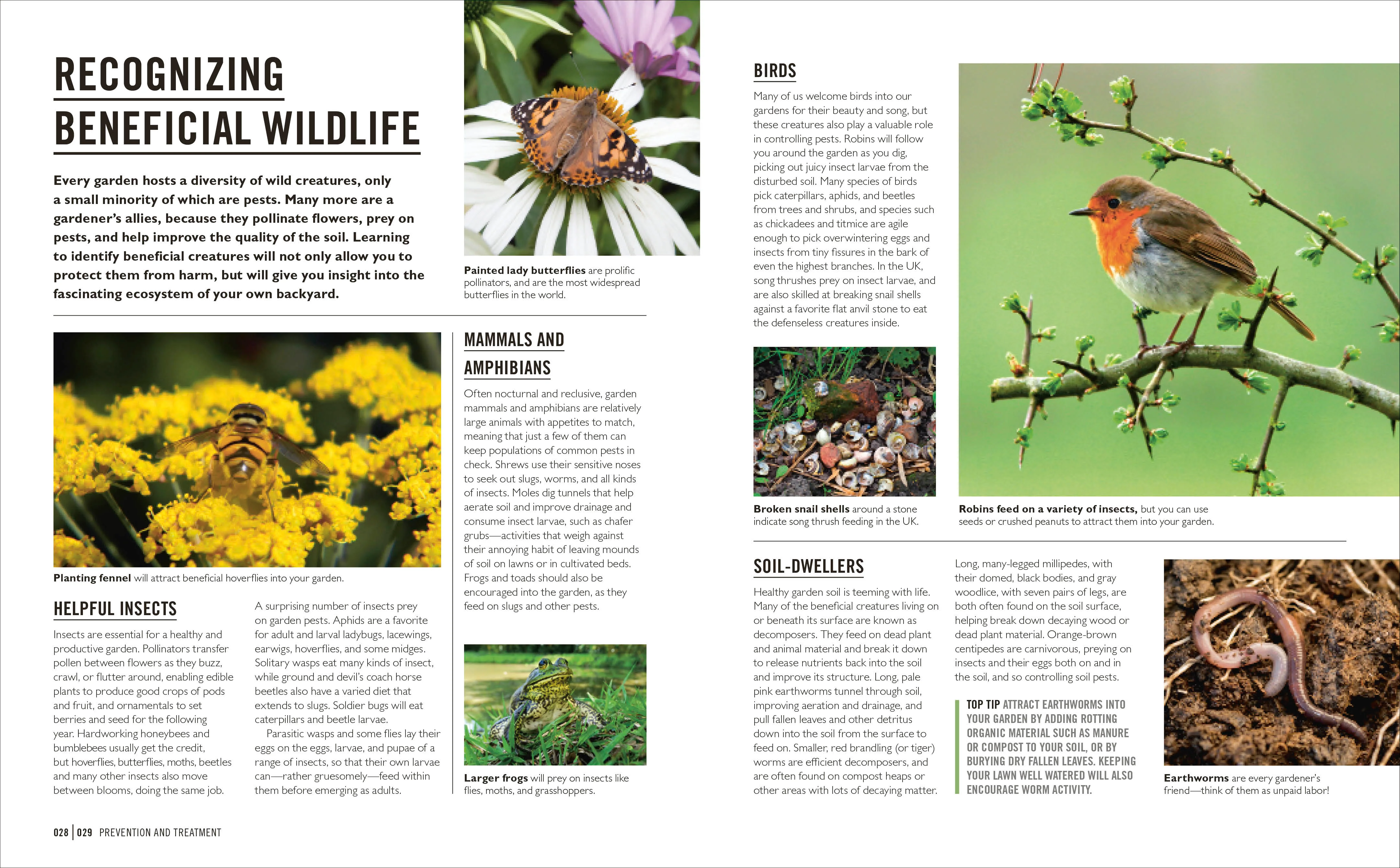 Grow Pests & Diseases - Image 2