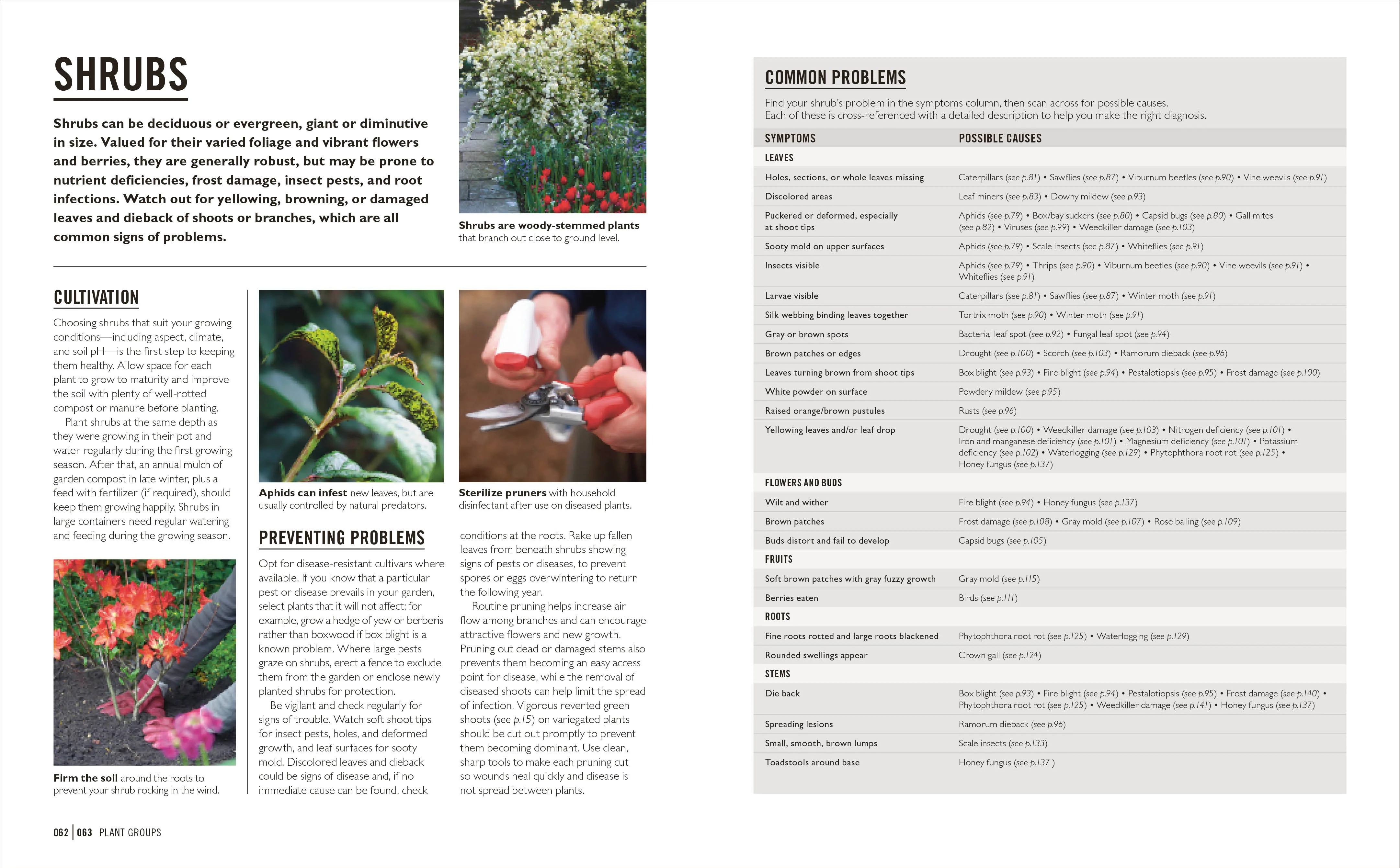 Grow Pests & Diseases - Image 3