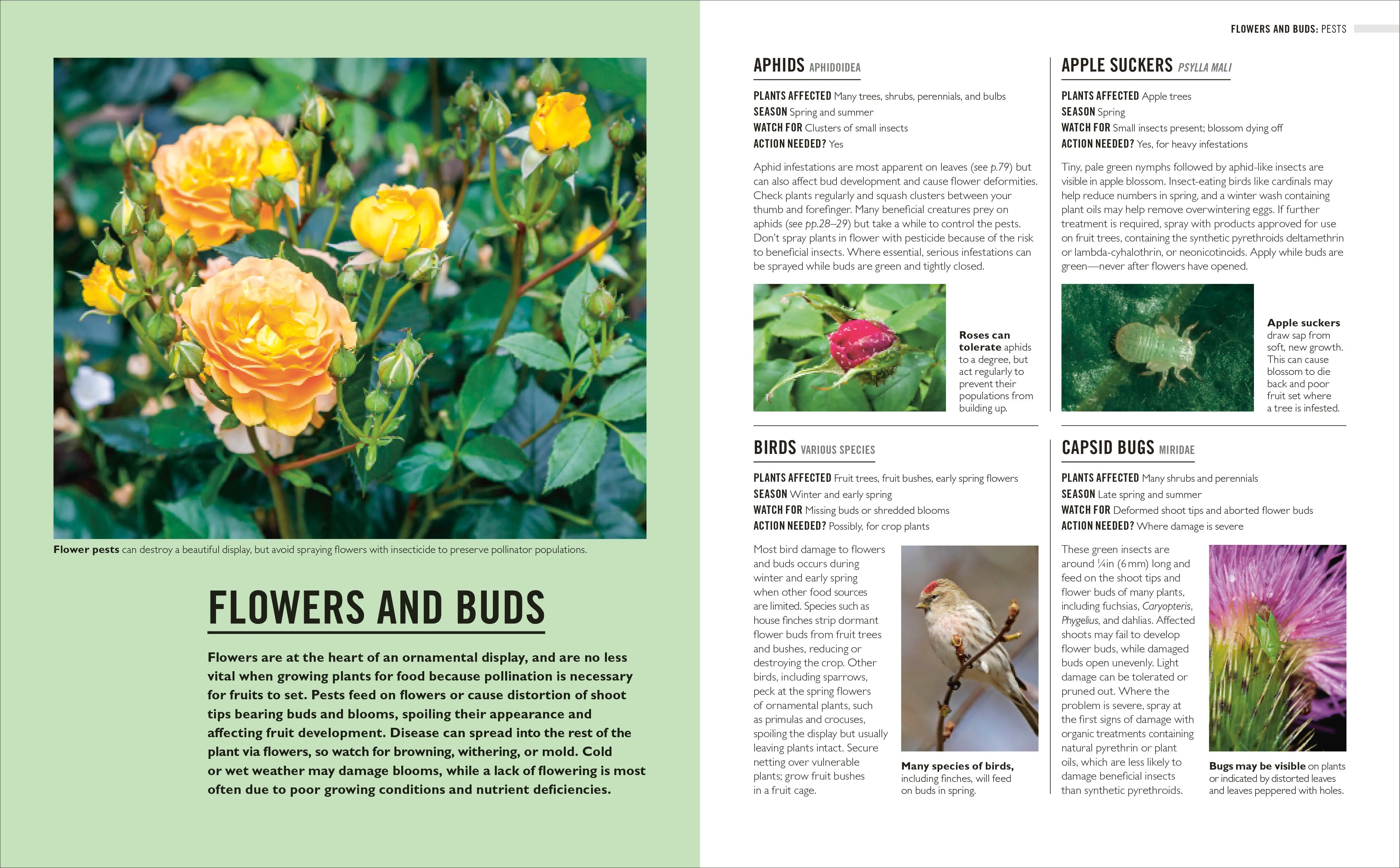 Grow Pests & Diseases - Image 4