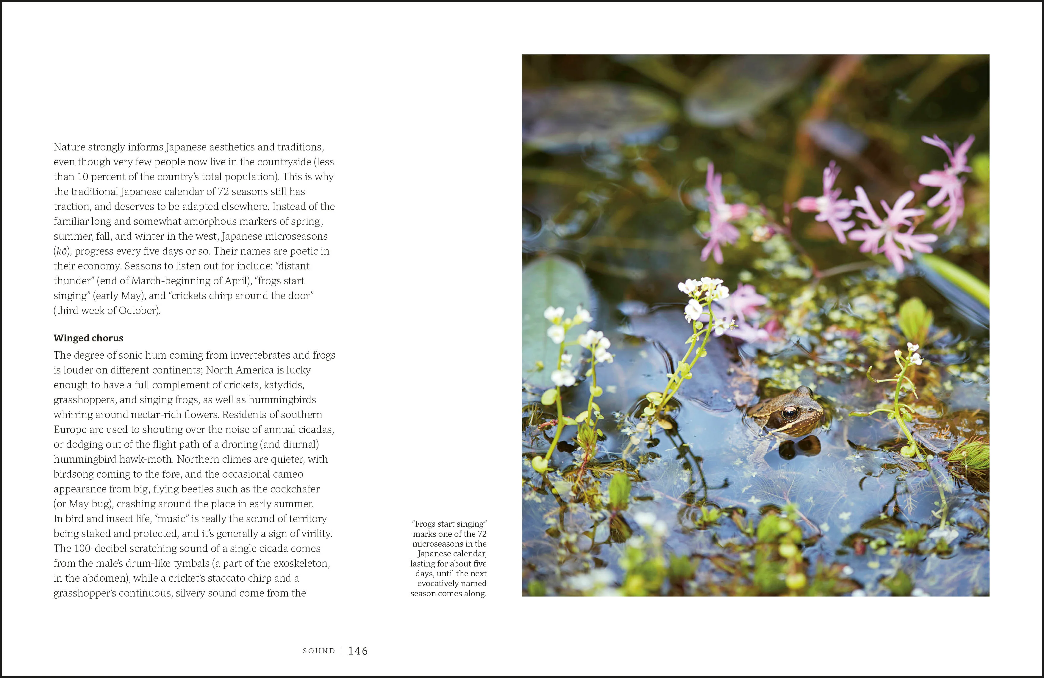 Garden for the Senses - Image 10