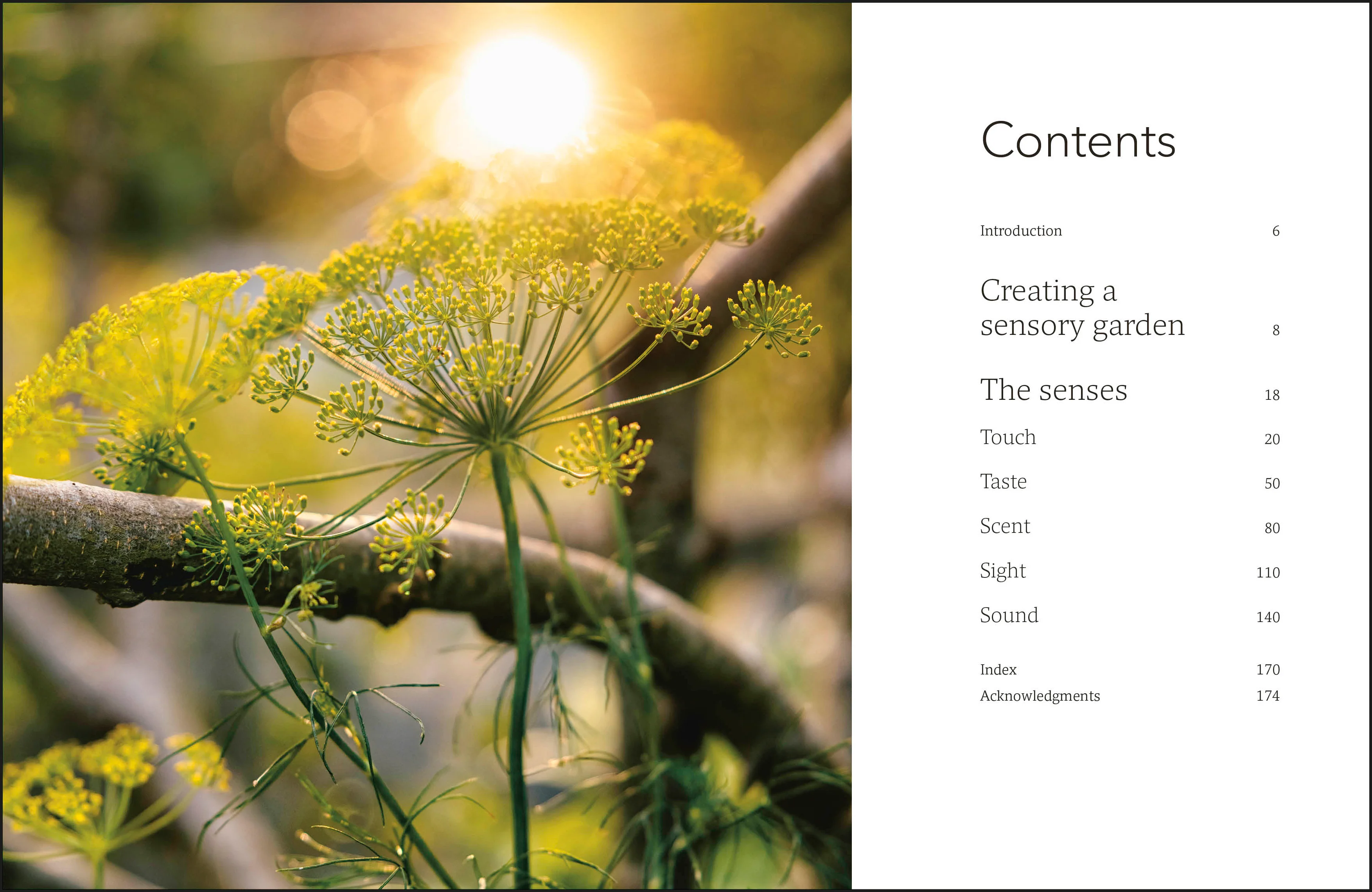 Garden for the Senses - Image 2