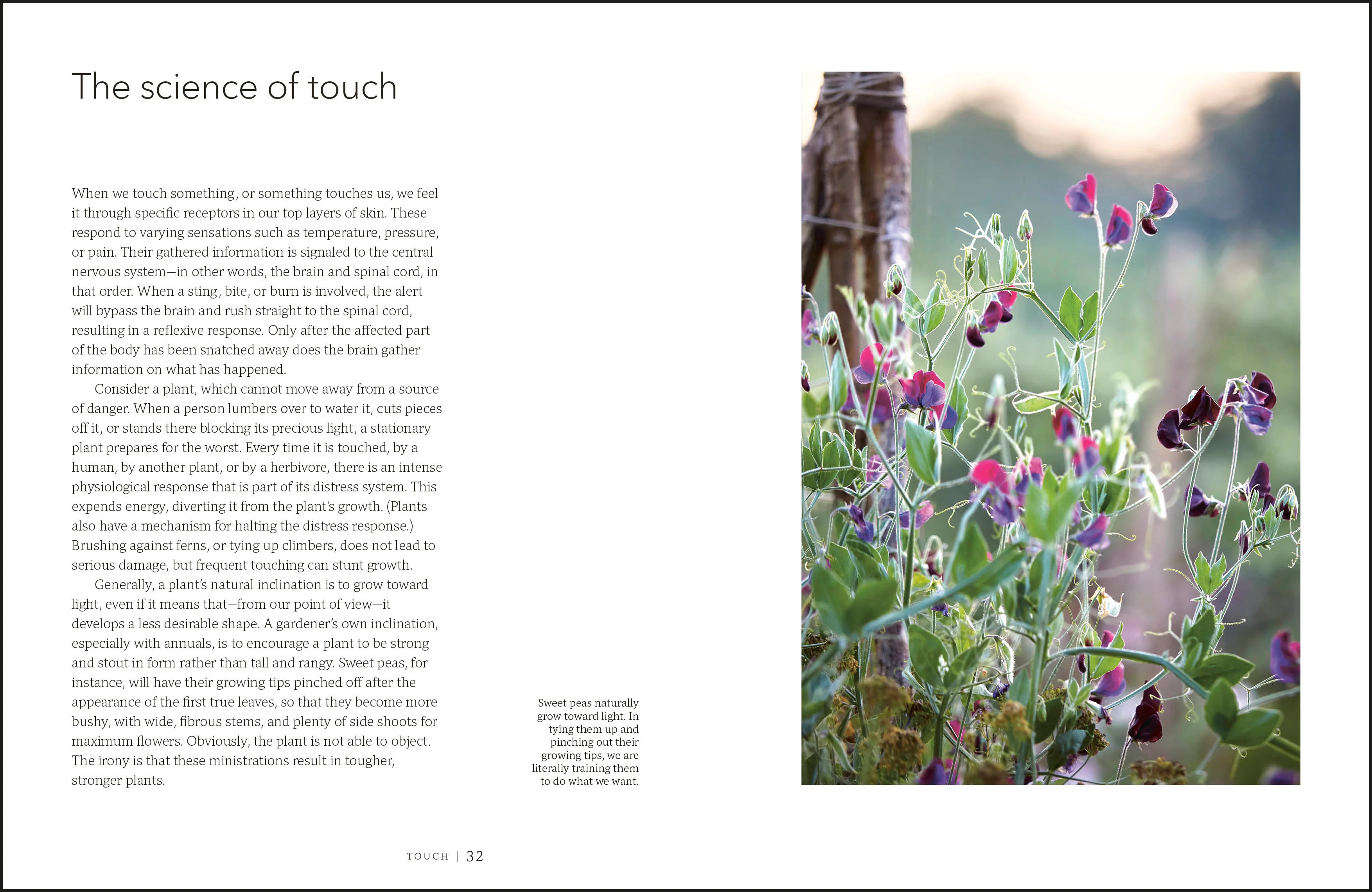 Garden for the Senses - Image 3