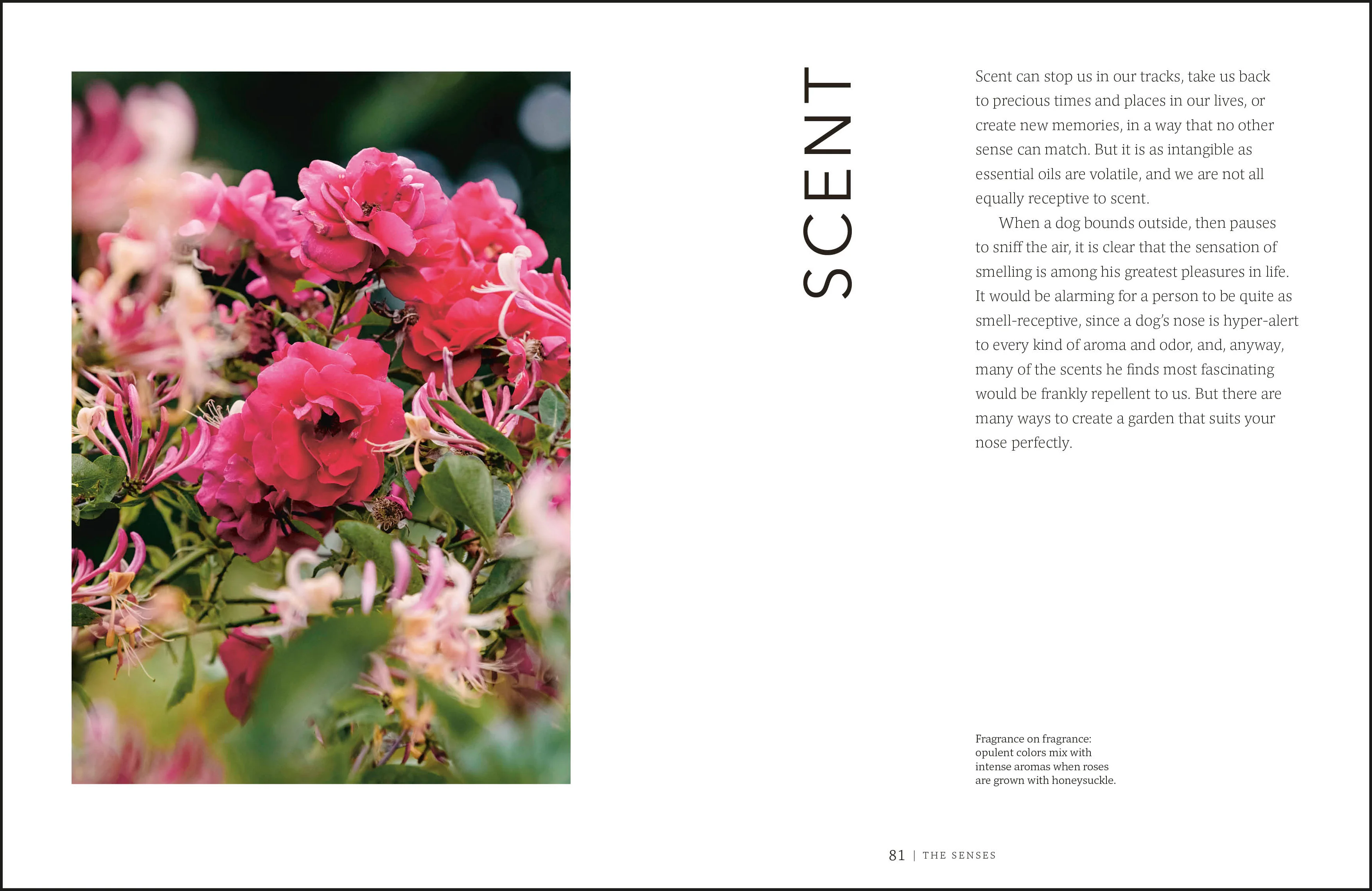 Garden for the Senses - Image 5