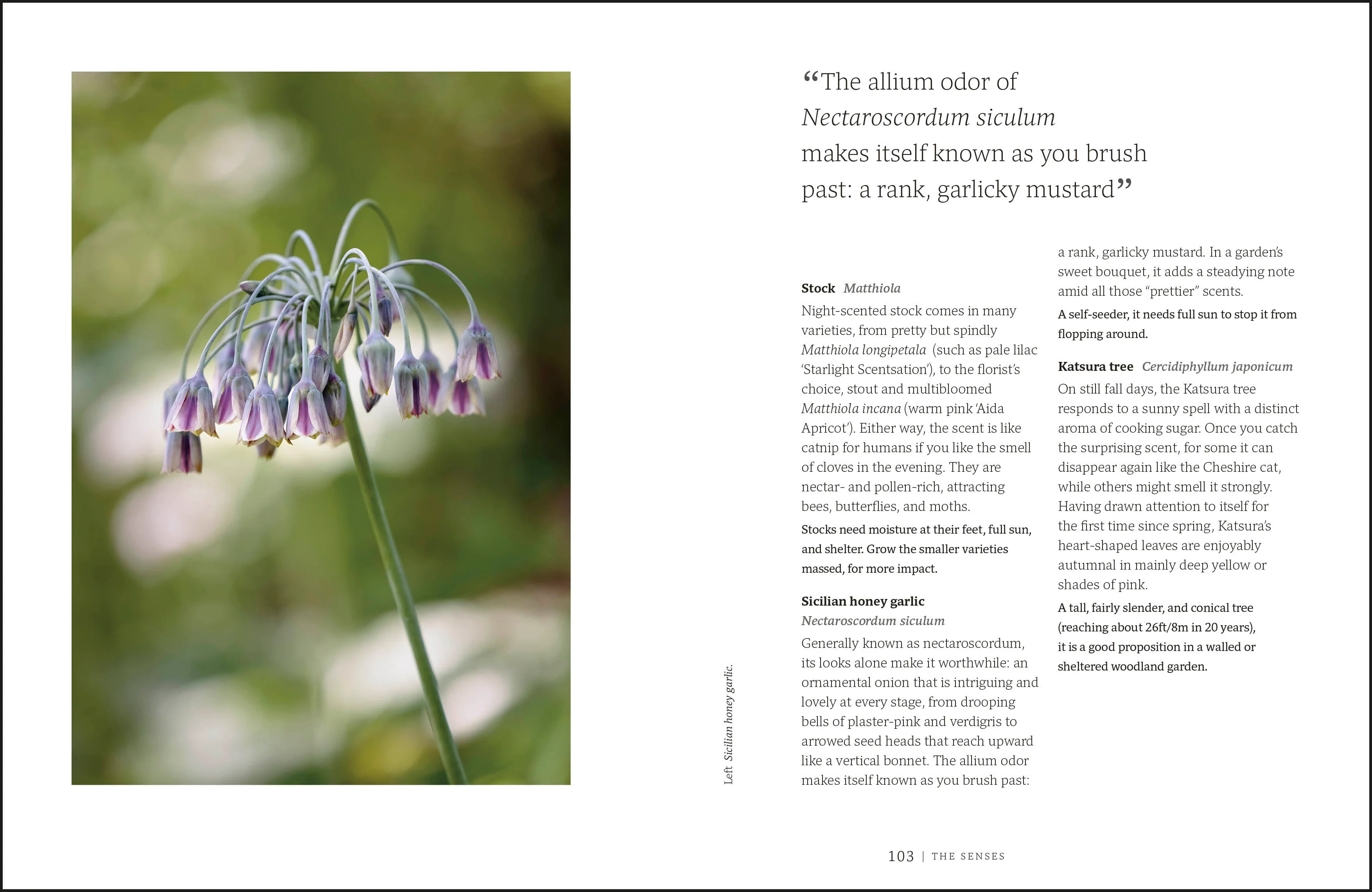 Garden for the Senses - Image 6