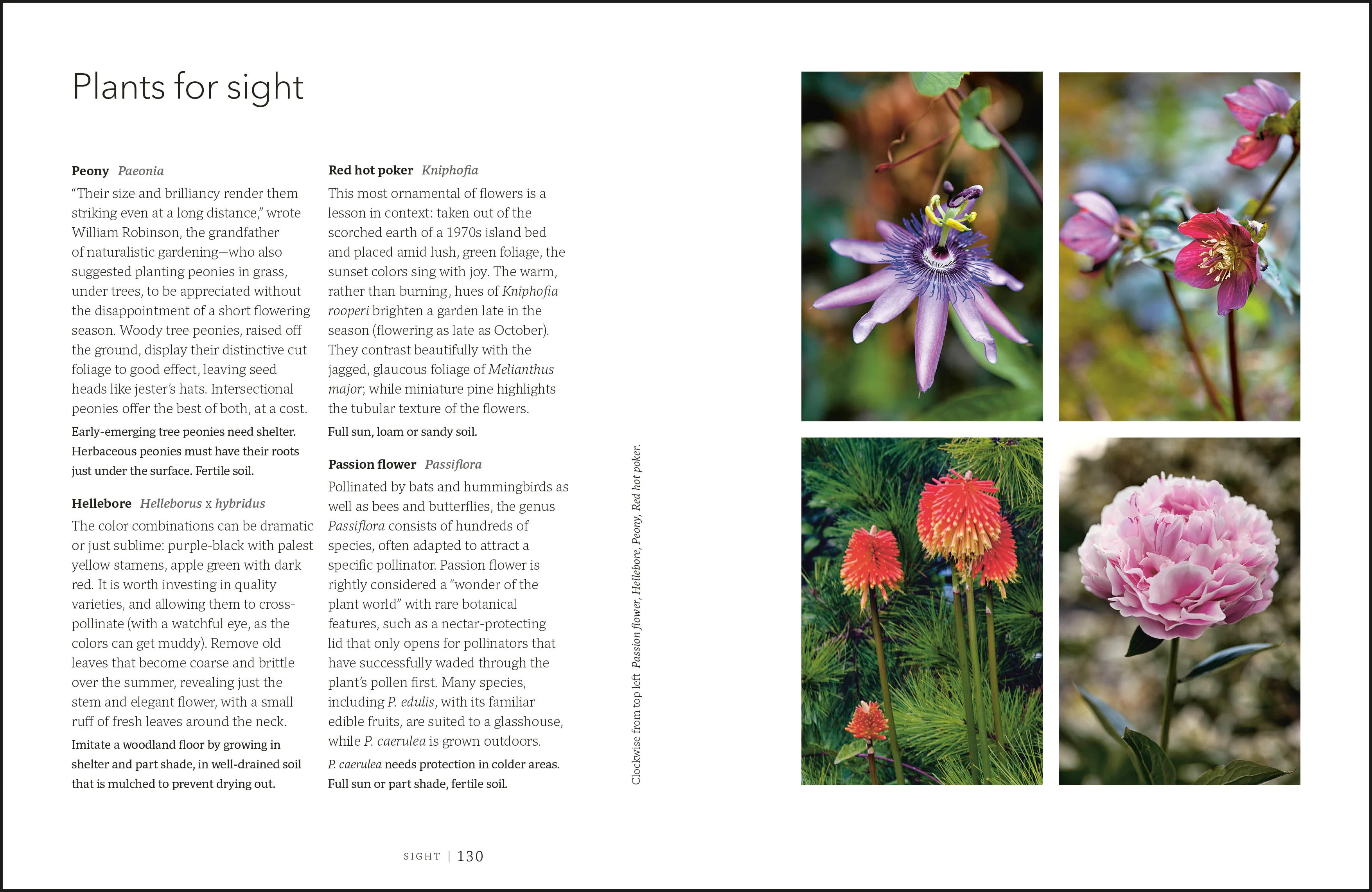 Garden for the Senses - Image 9