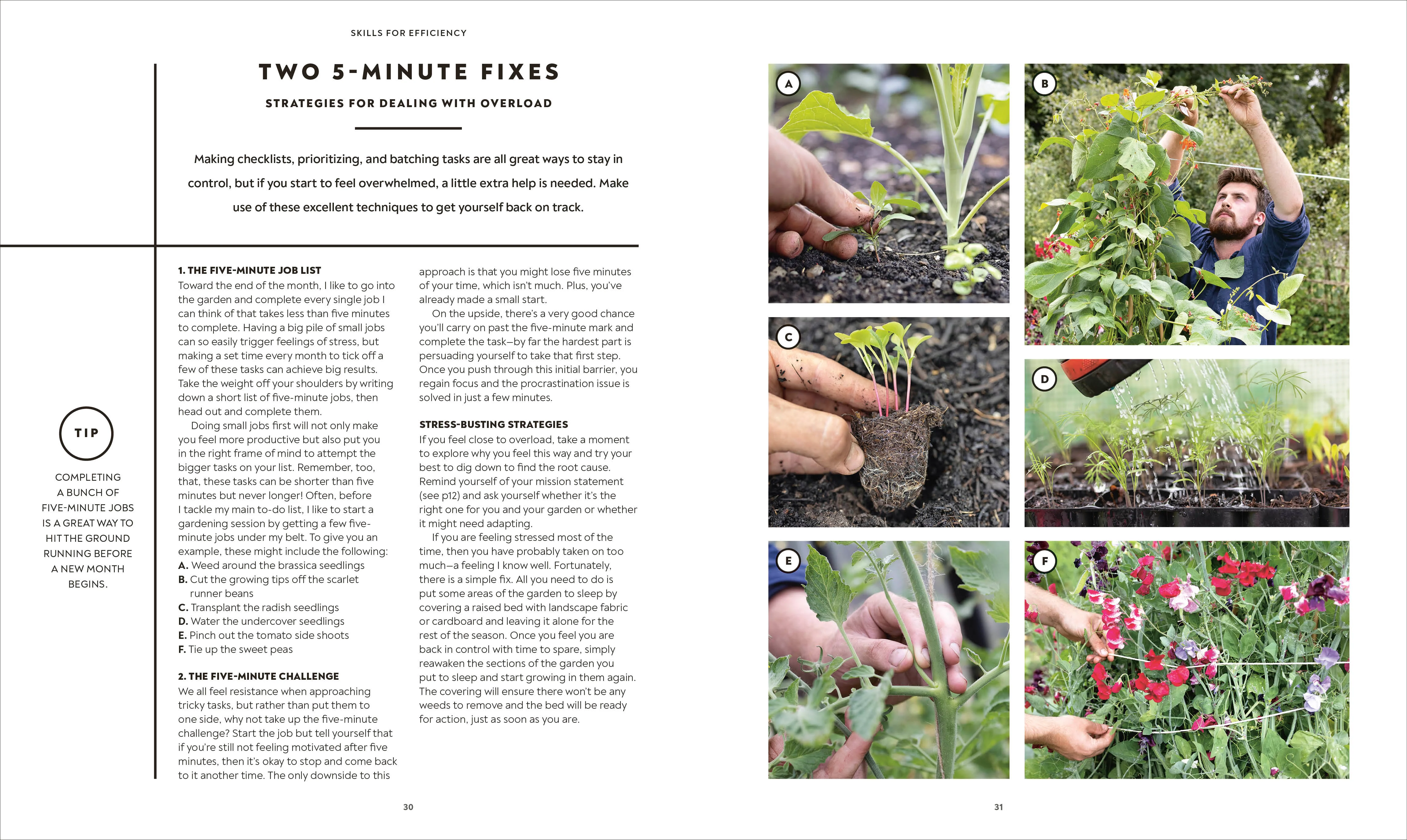 The Vegetable Grower's Handbook - Image 2