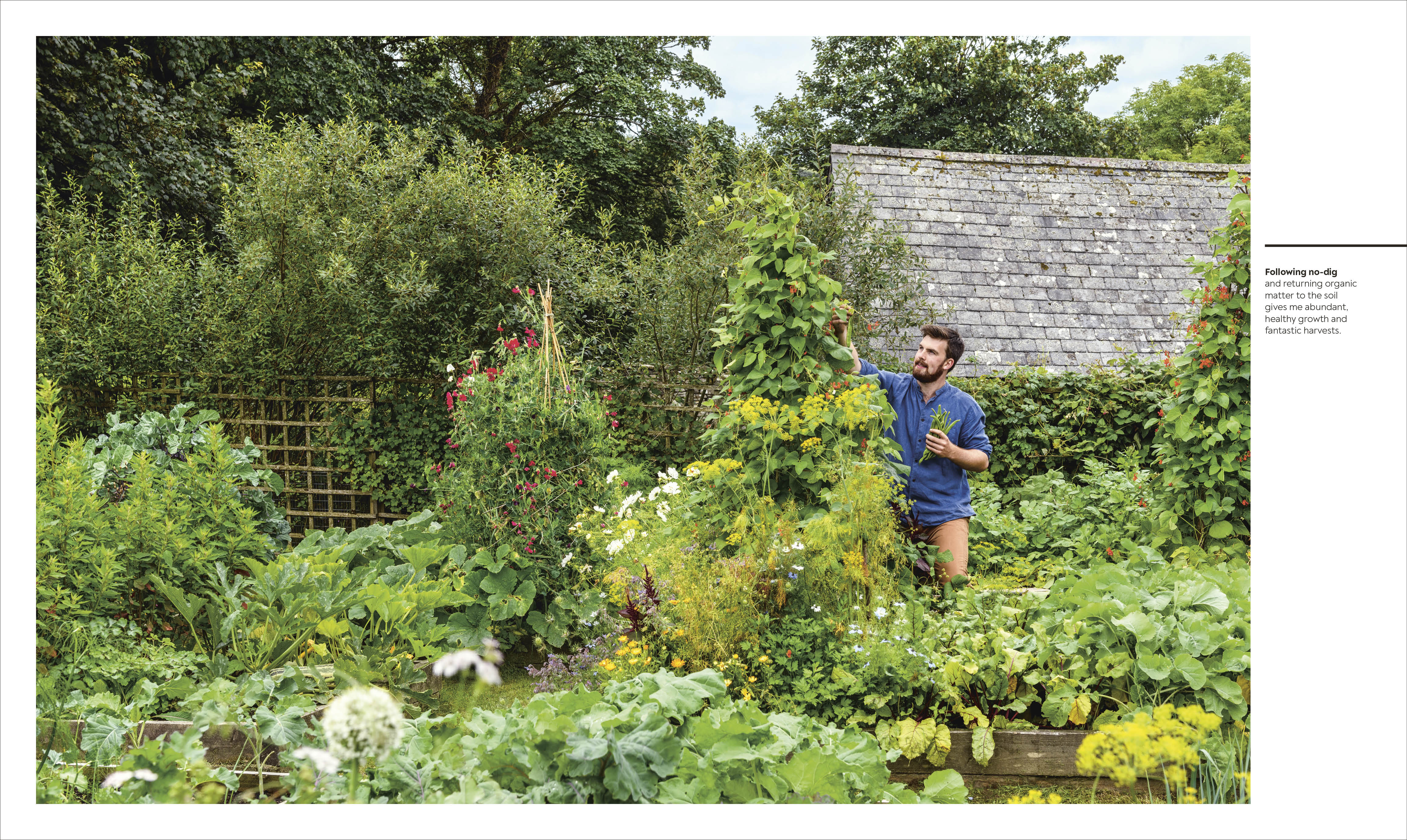 The Vegetable Grower's Handbook - Image 3