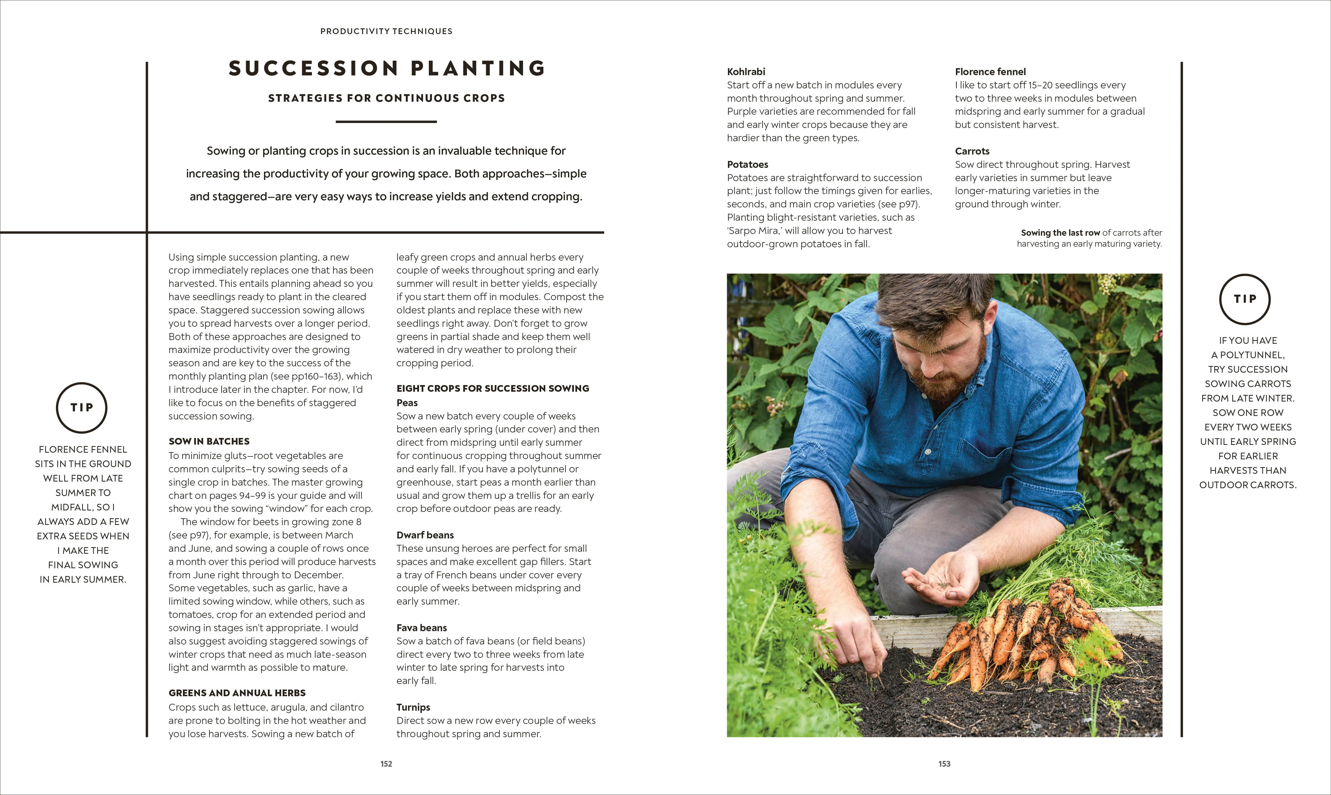 The Vegetable Grower's Handbook - Image 6