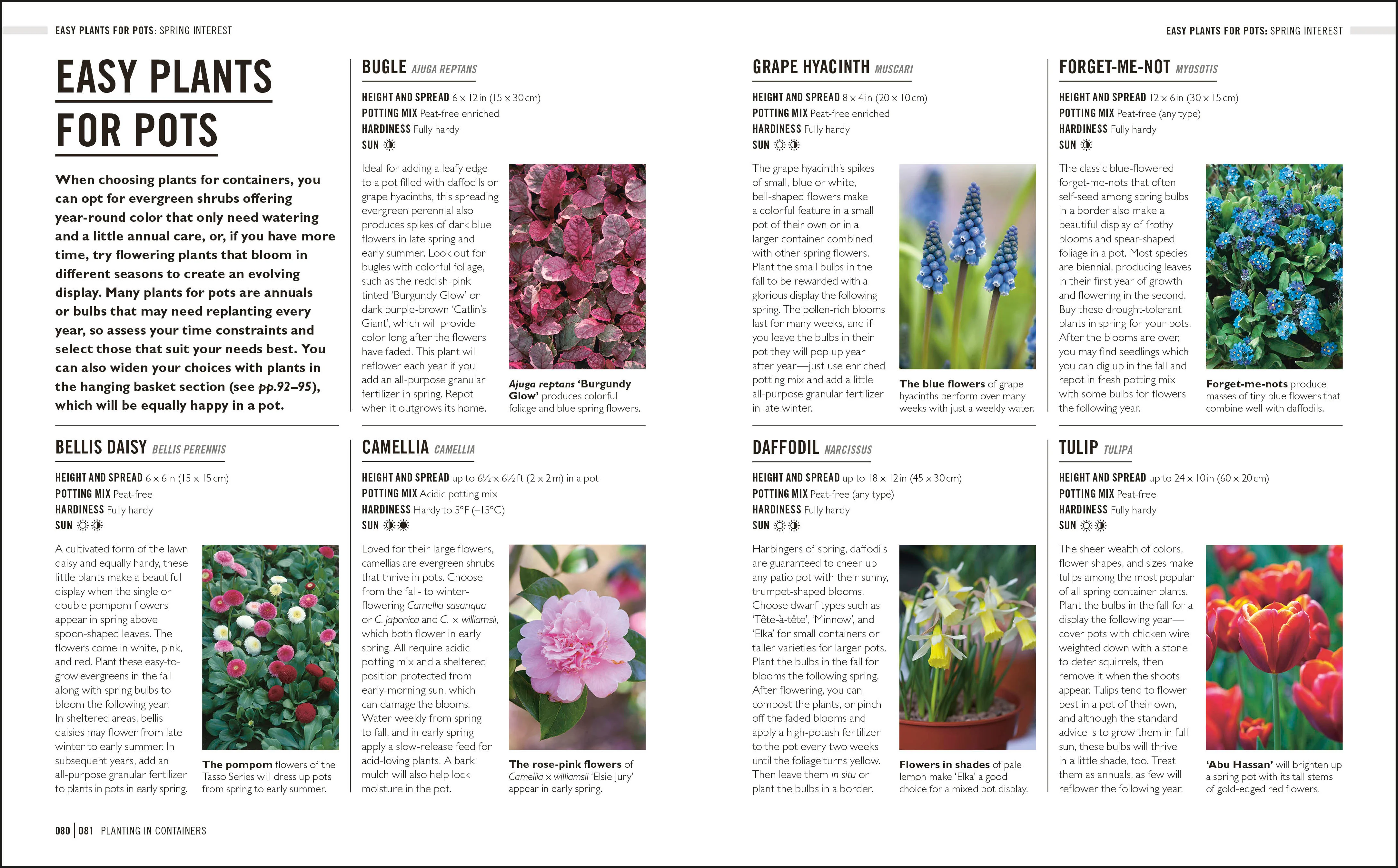 Grow Low Maintenance - Image 3
