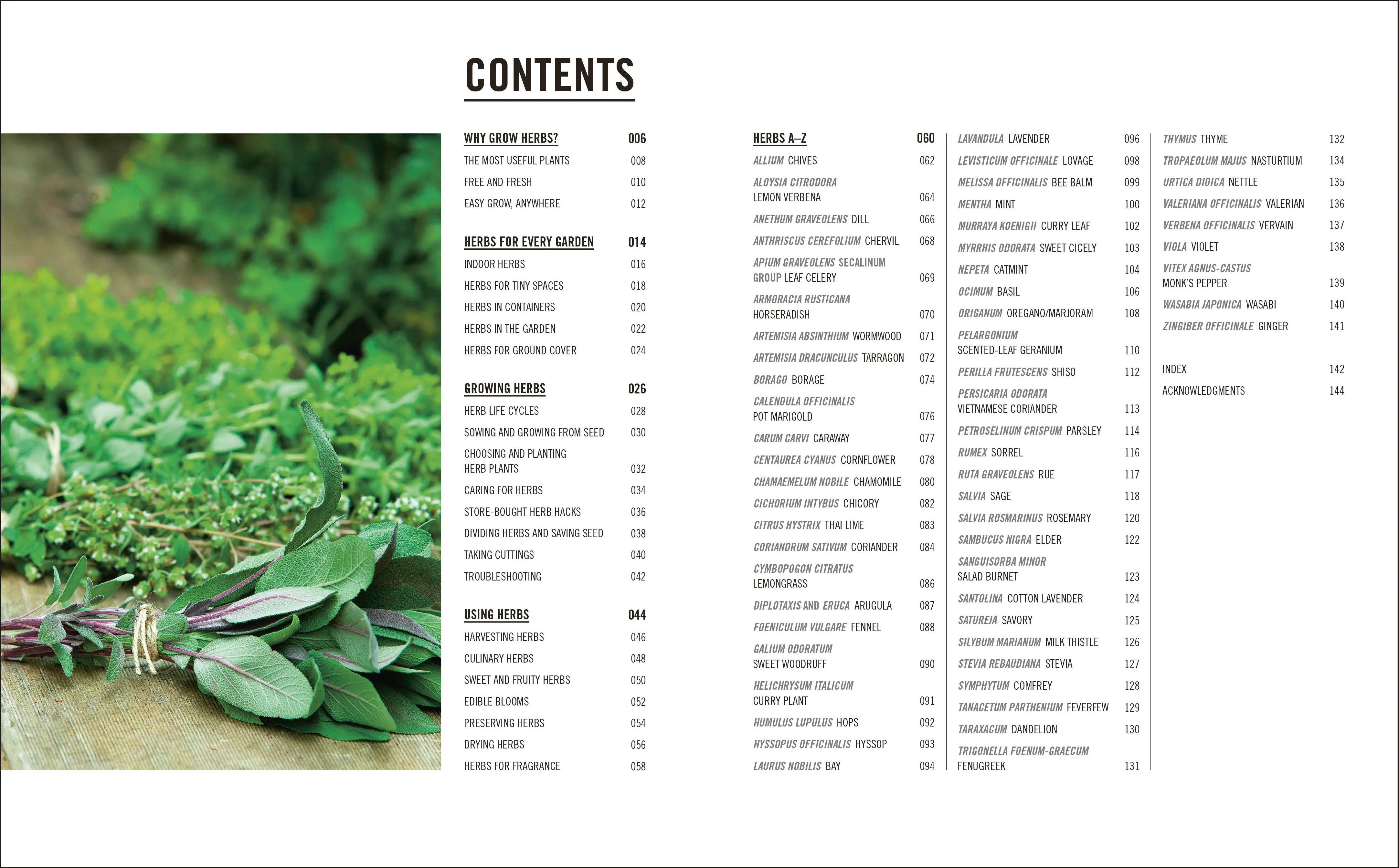 Grow Herbs - Image 2