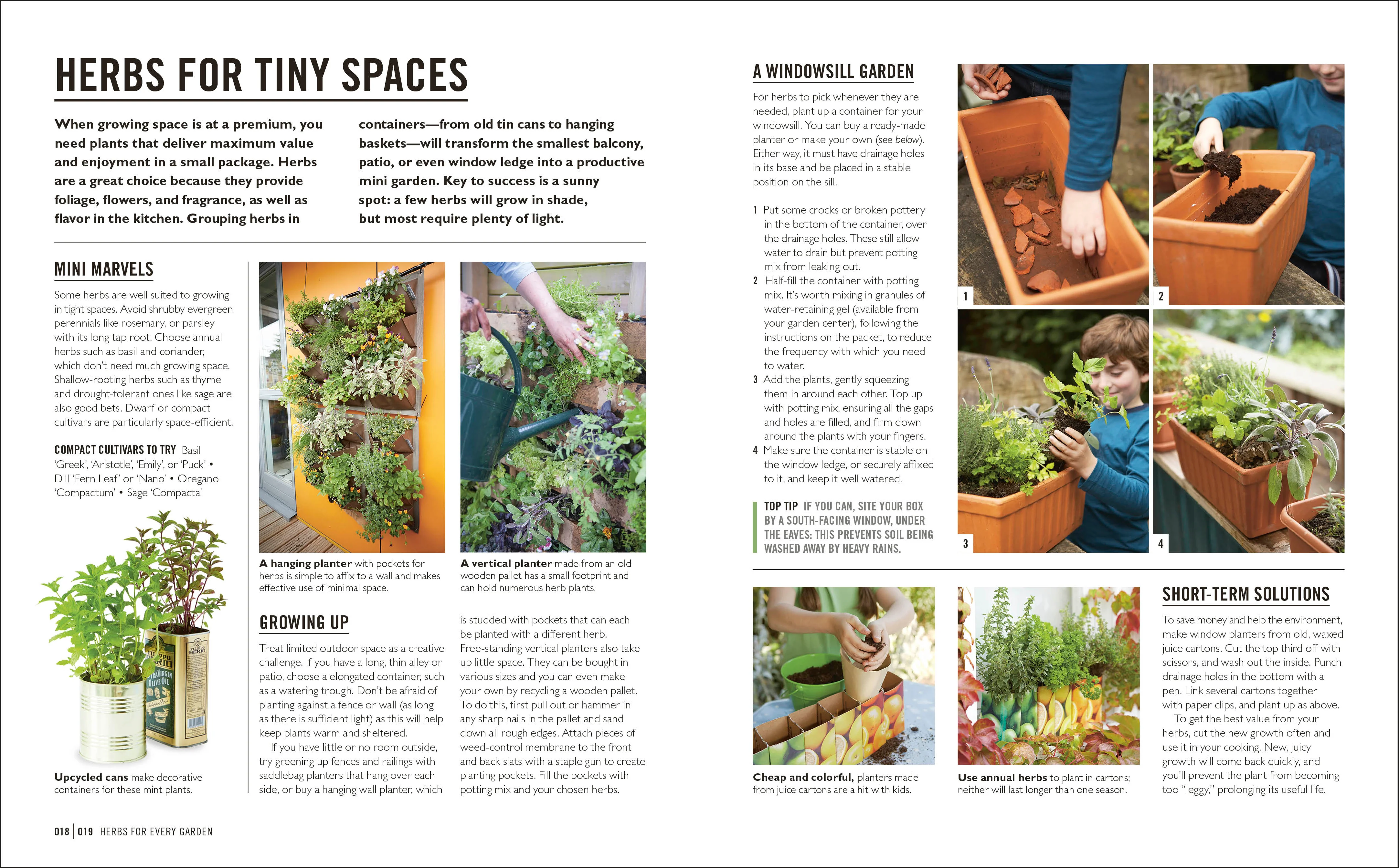 Grow Herbs - Image 3