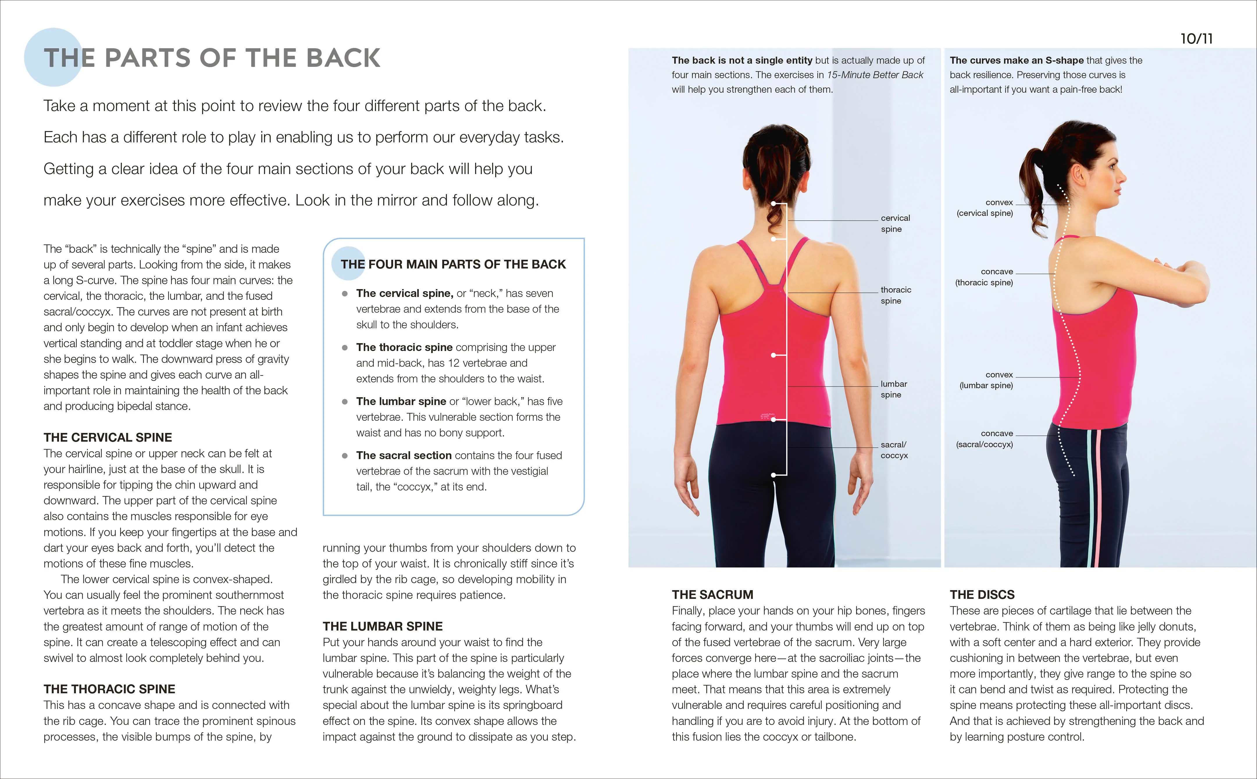 15-Minute Better Back - Image 3