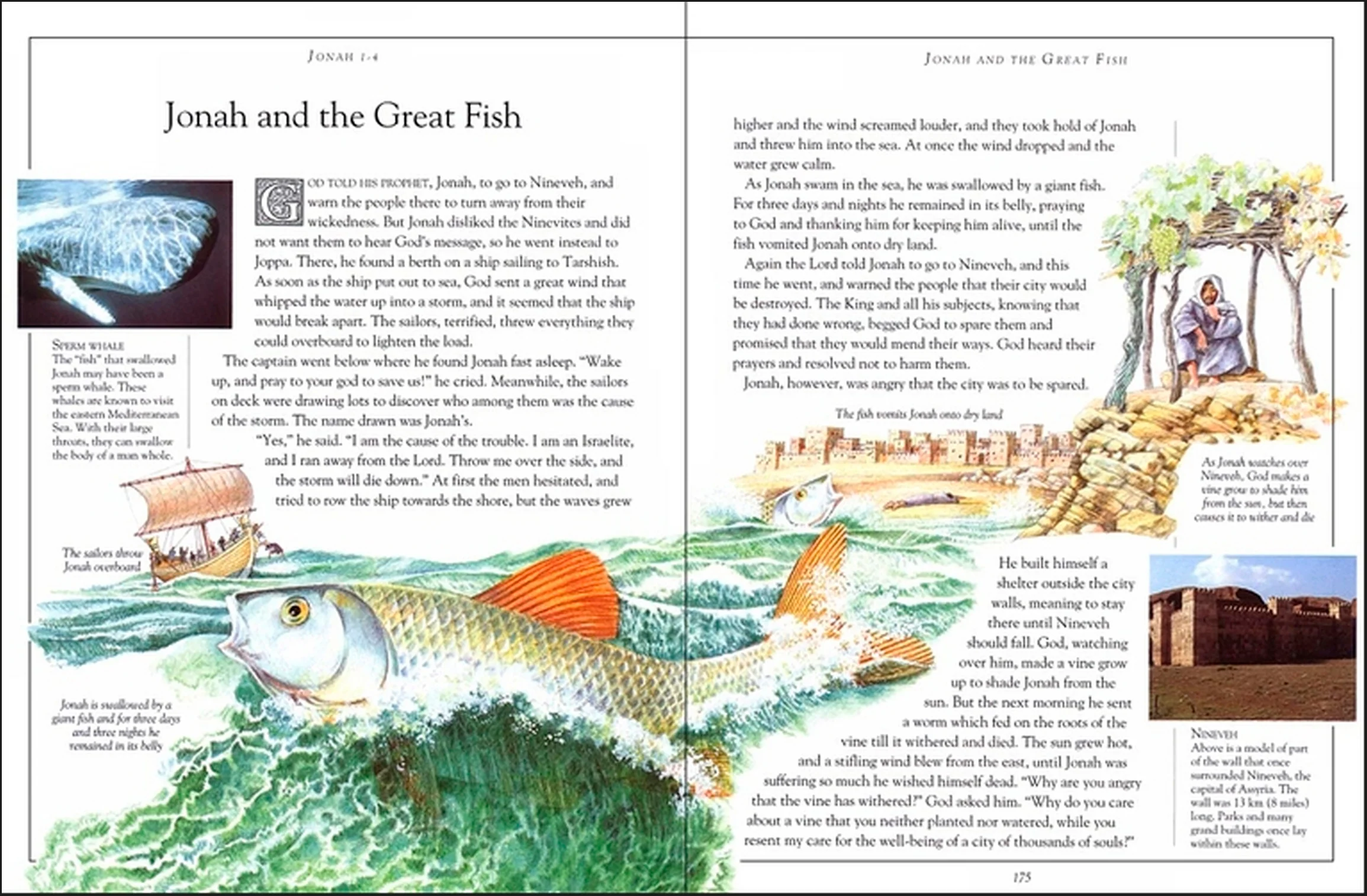 The Children's Pocket Bible - Image 3
