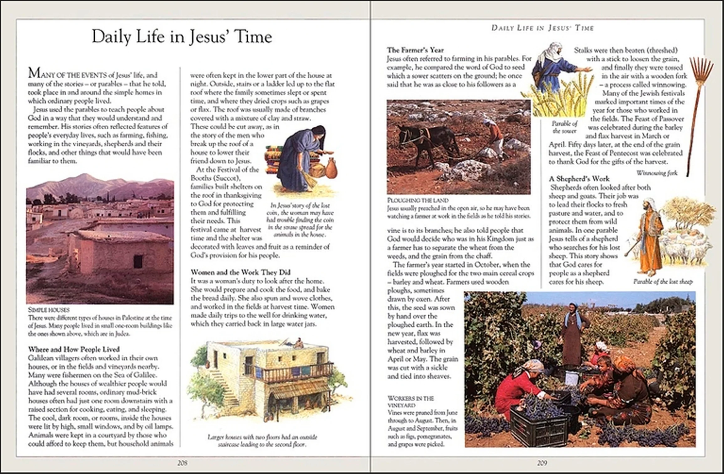 The Children's Pocket Bible - Image 4