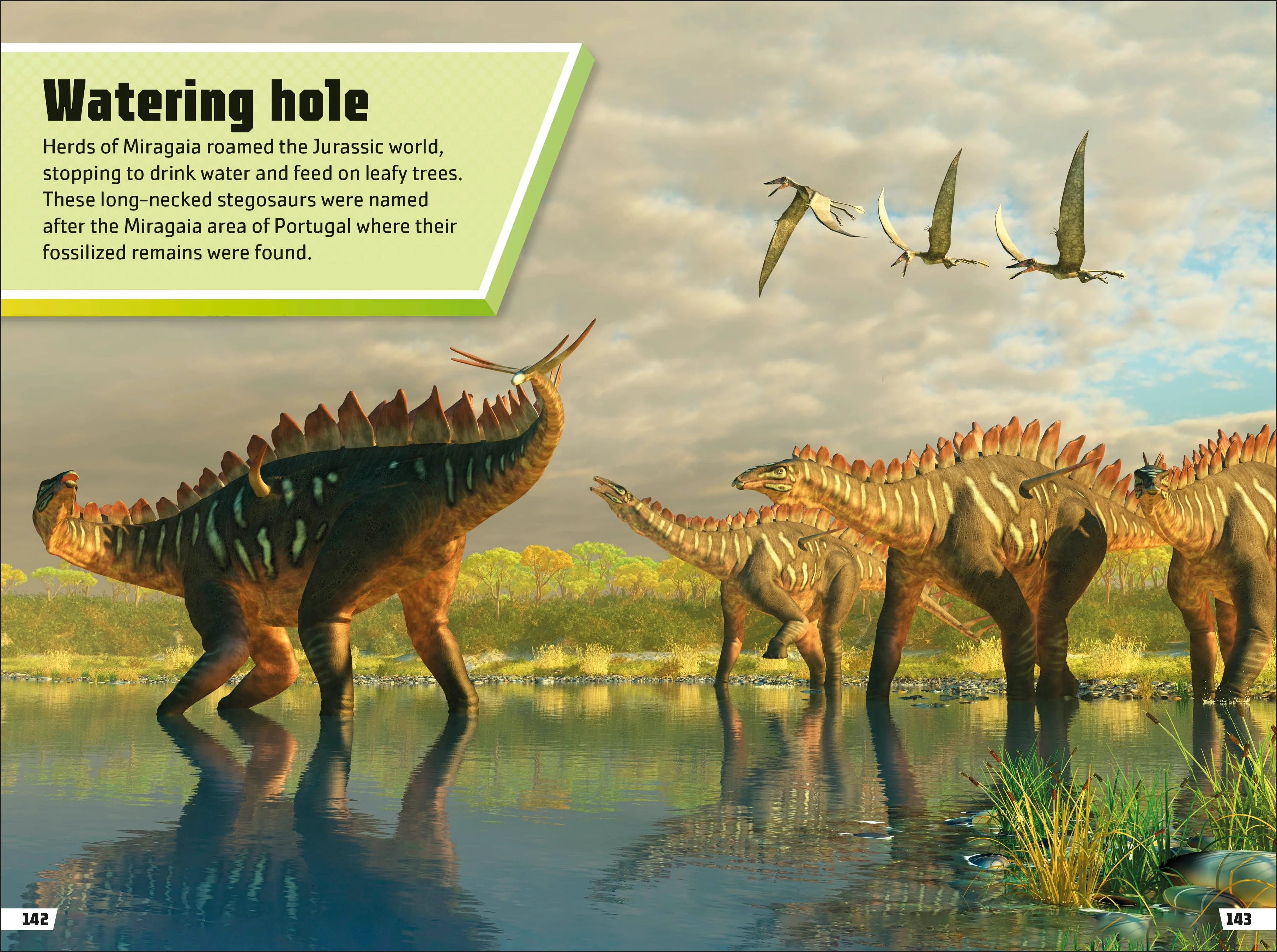 Dinosaur Ultimate Handbook - Image 3