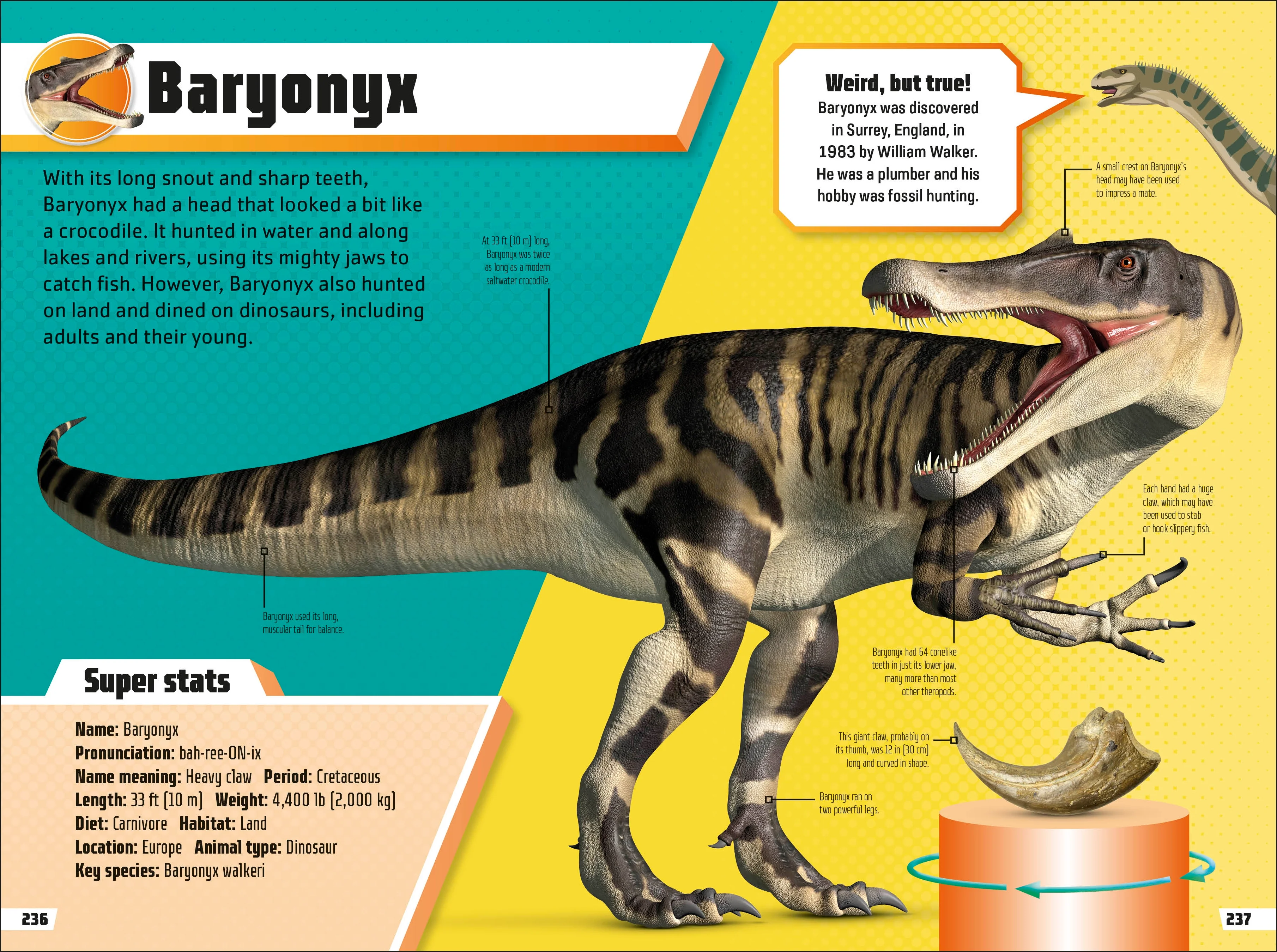 Dinosaur Ultimate Handbook - Image 5