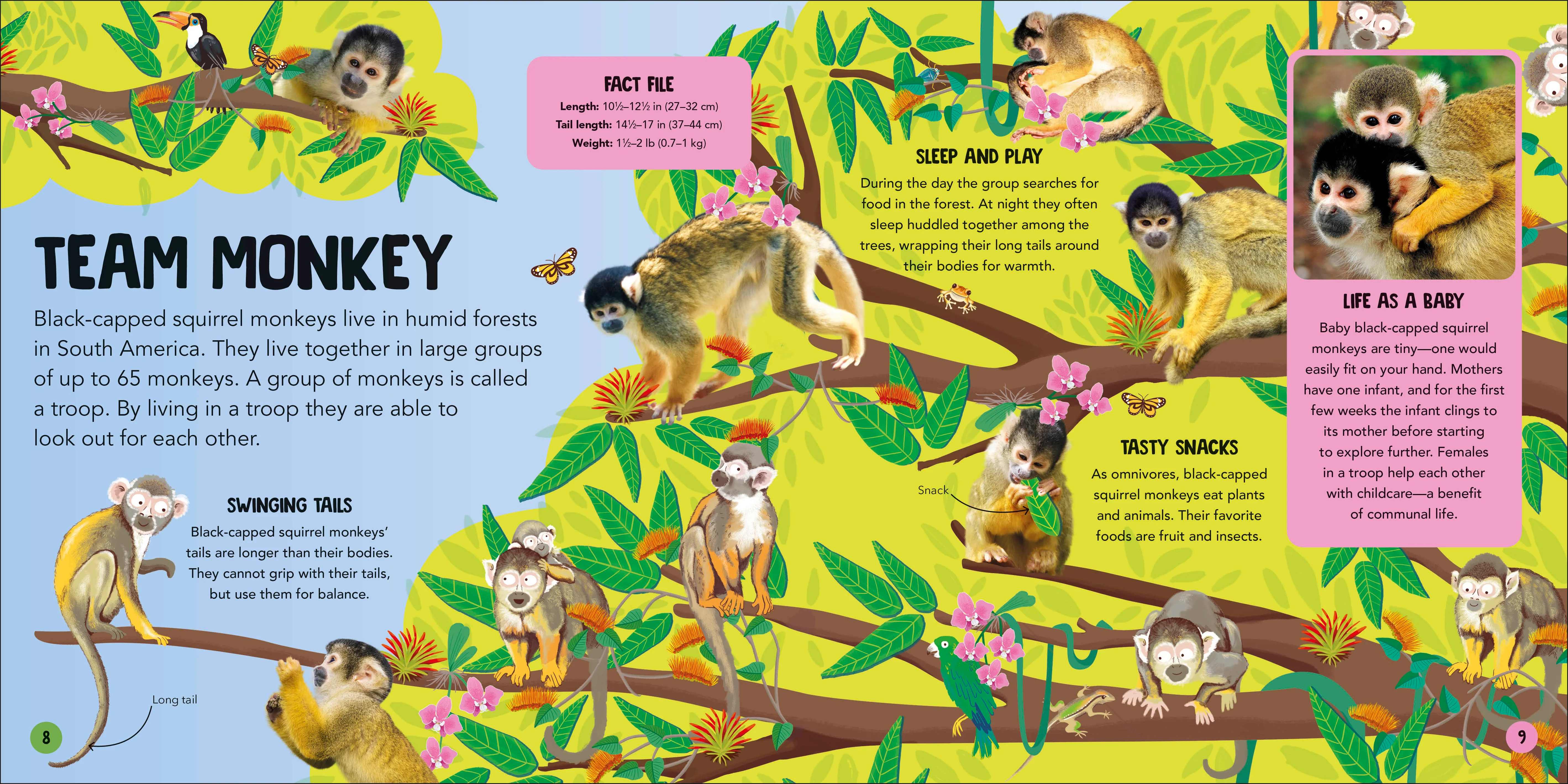 Animal Teams - Image 2