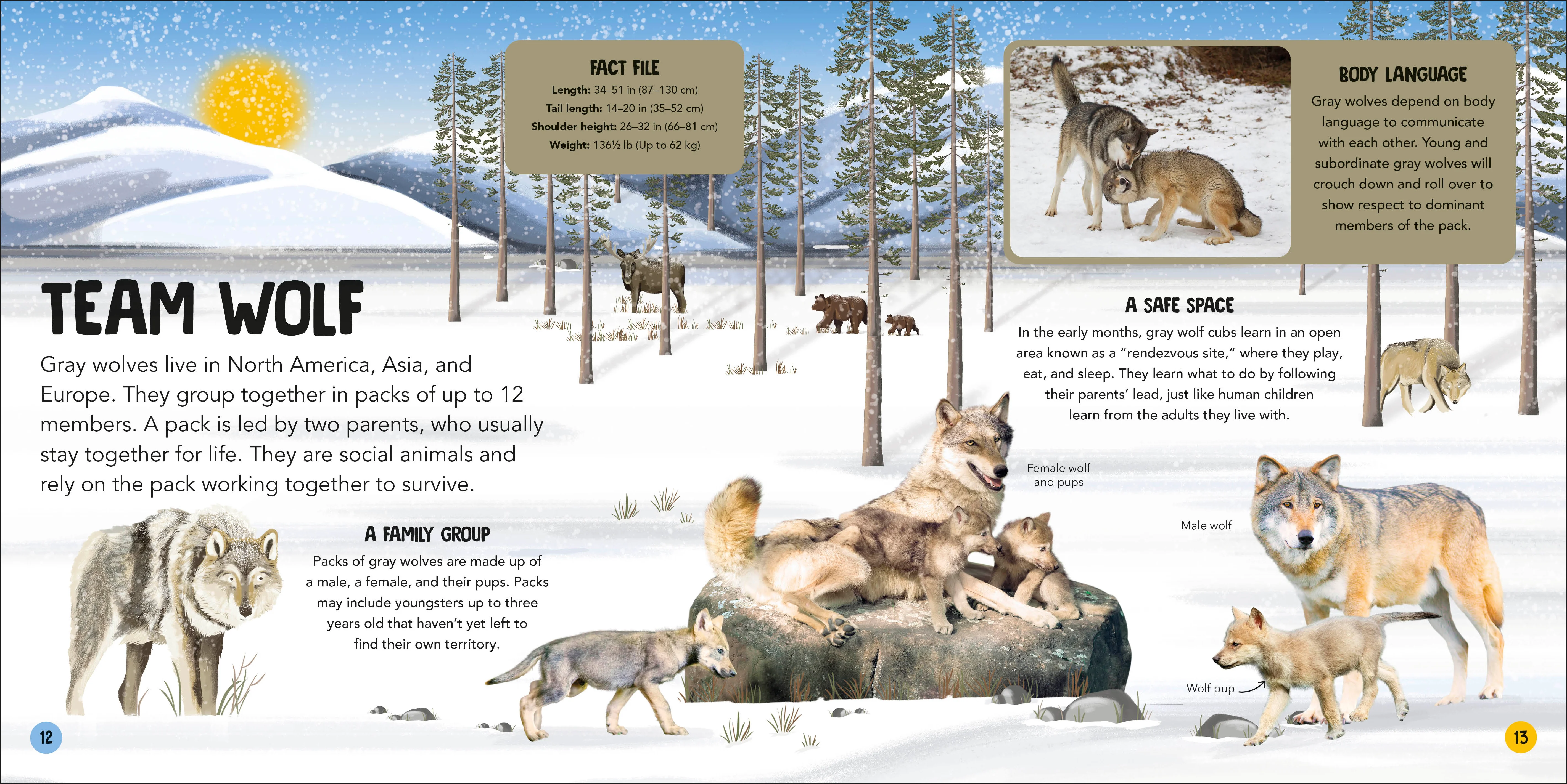Animal Teams - Image 4