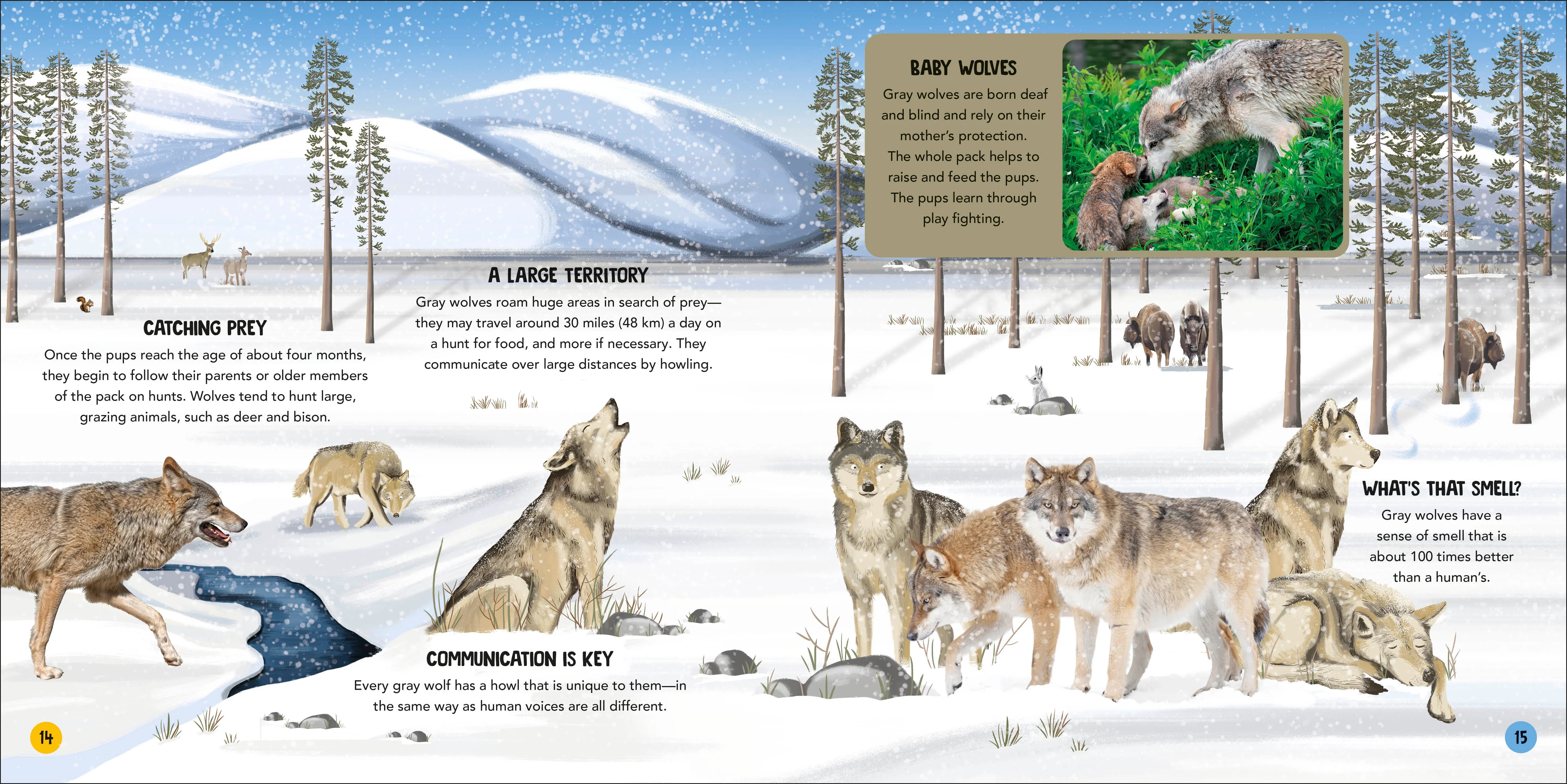 Animal Teams - Image 5