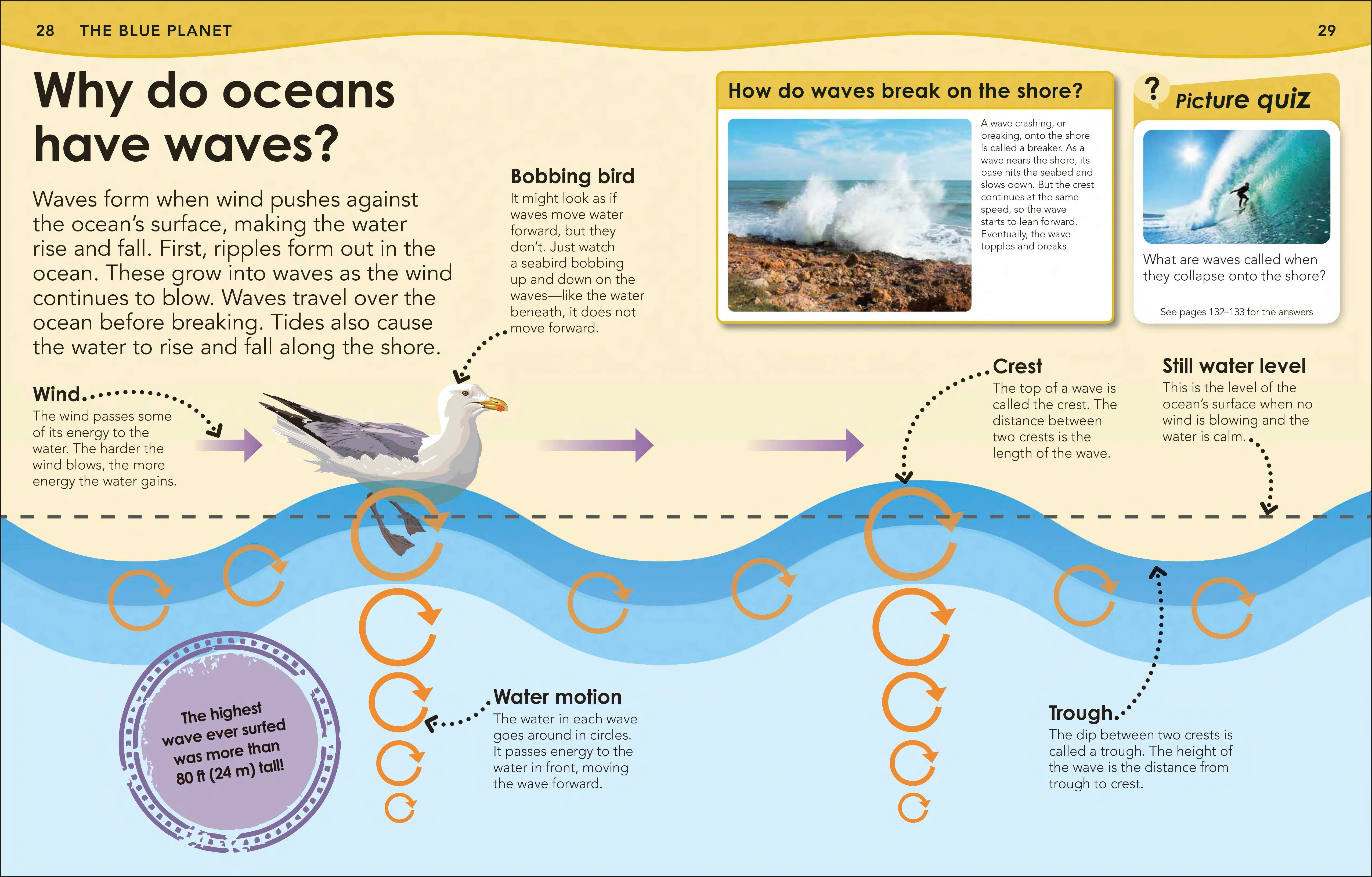 Did You Know? Ocean - Image 2