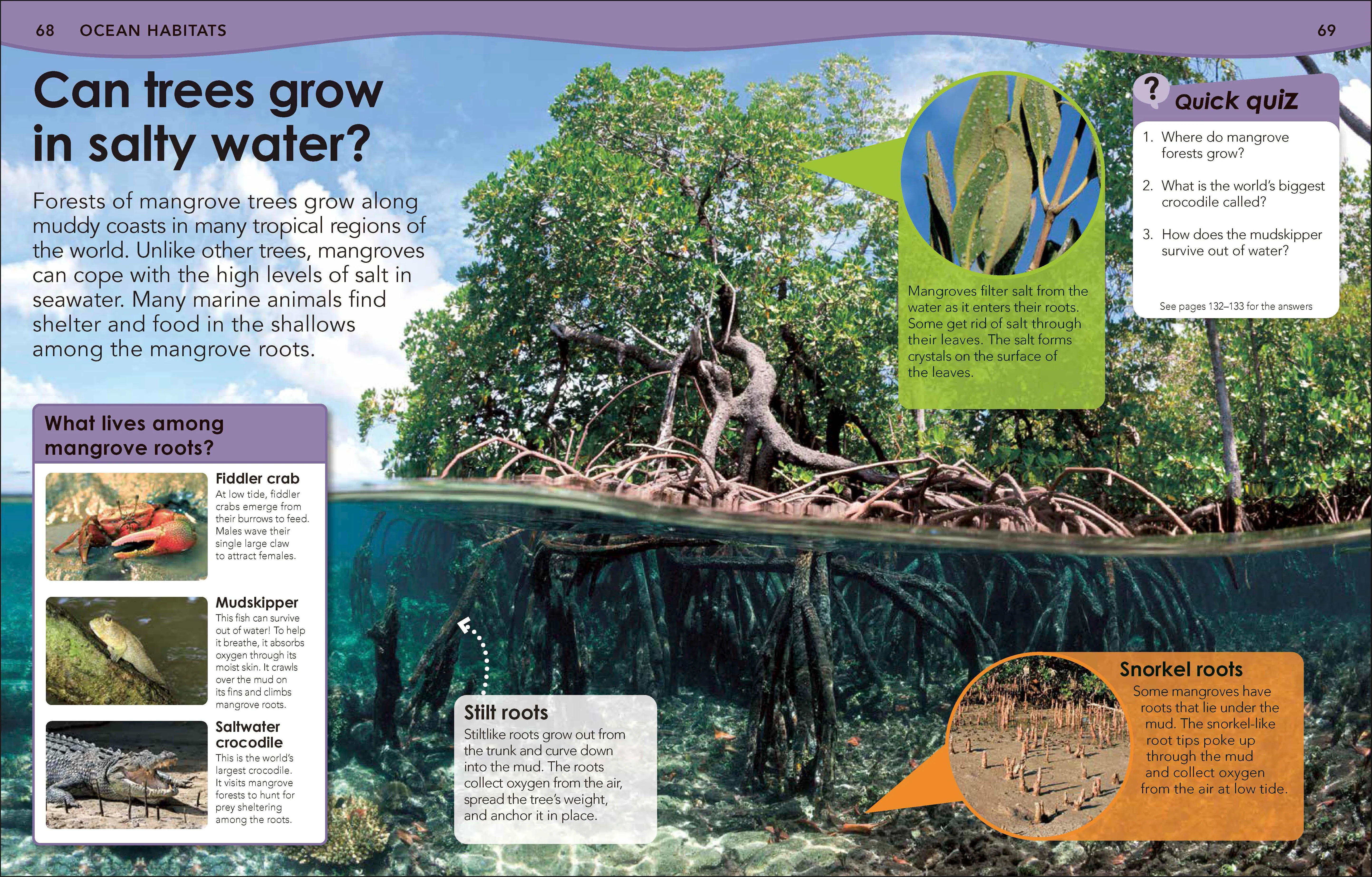 Did You Know? Ocean - Image 3