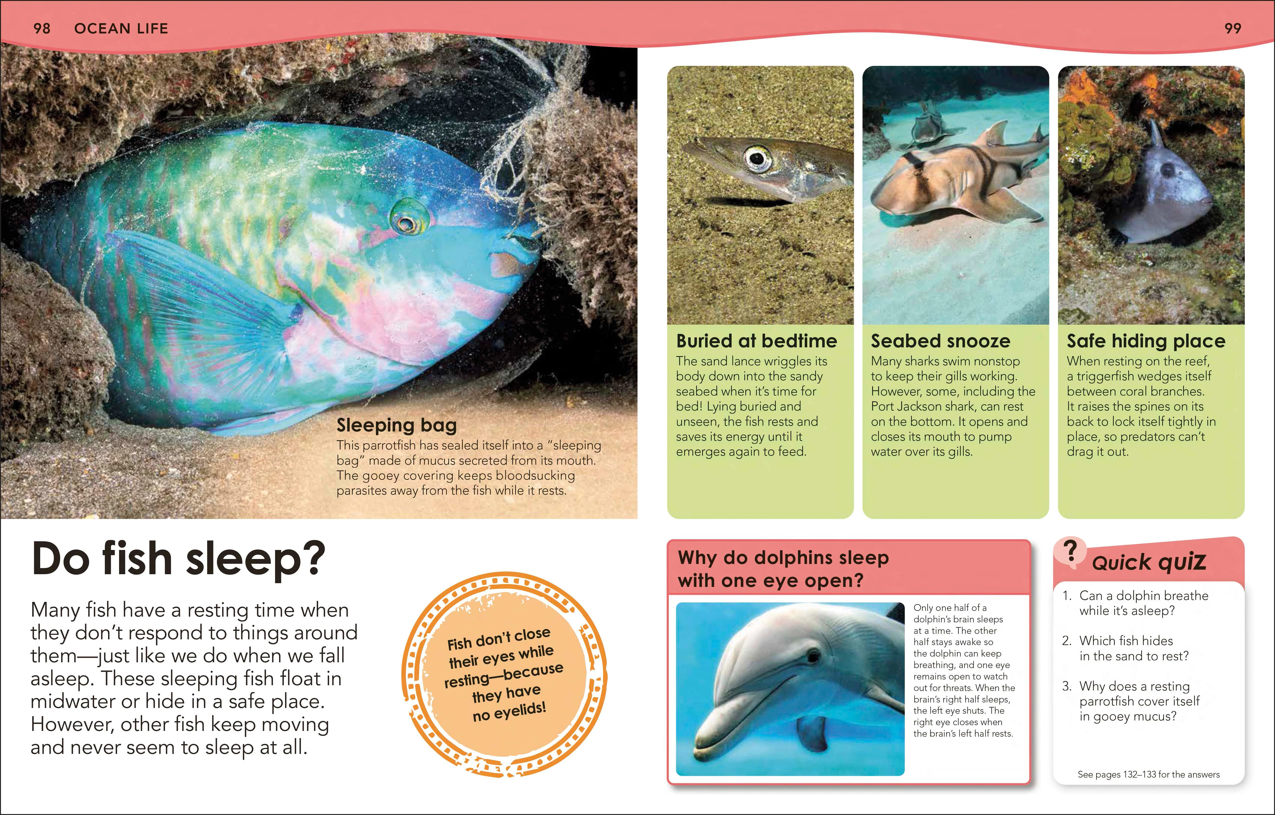 Did You Know? Ocean - Image 4