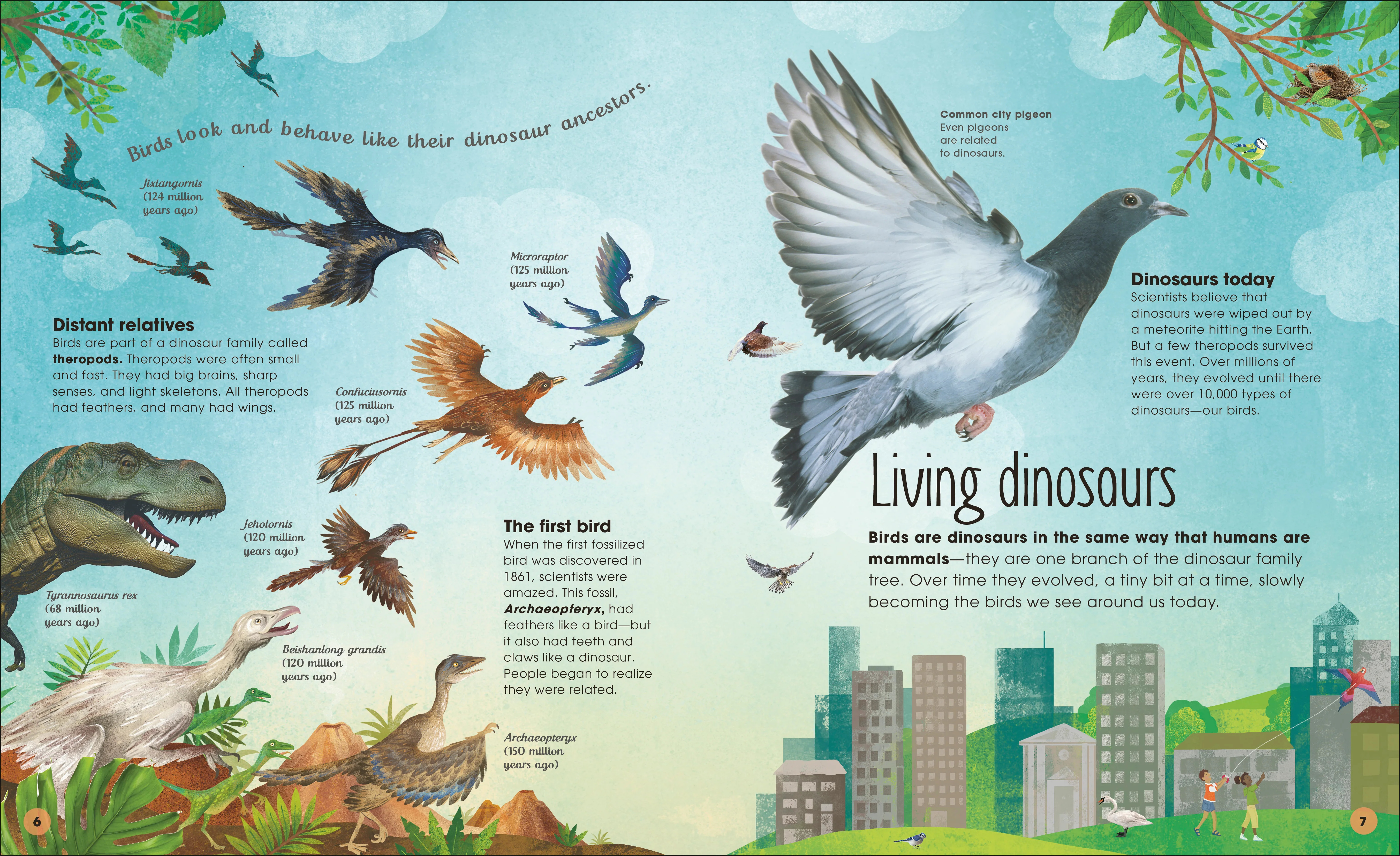 The Extraordinary World of Birds - Image 2