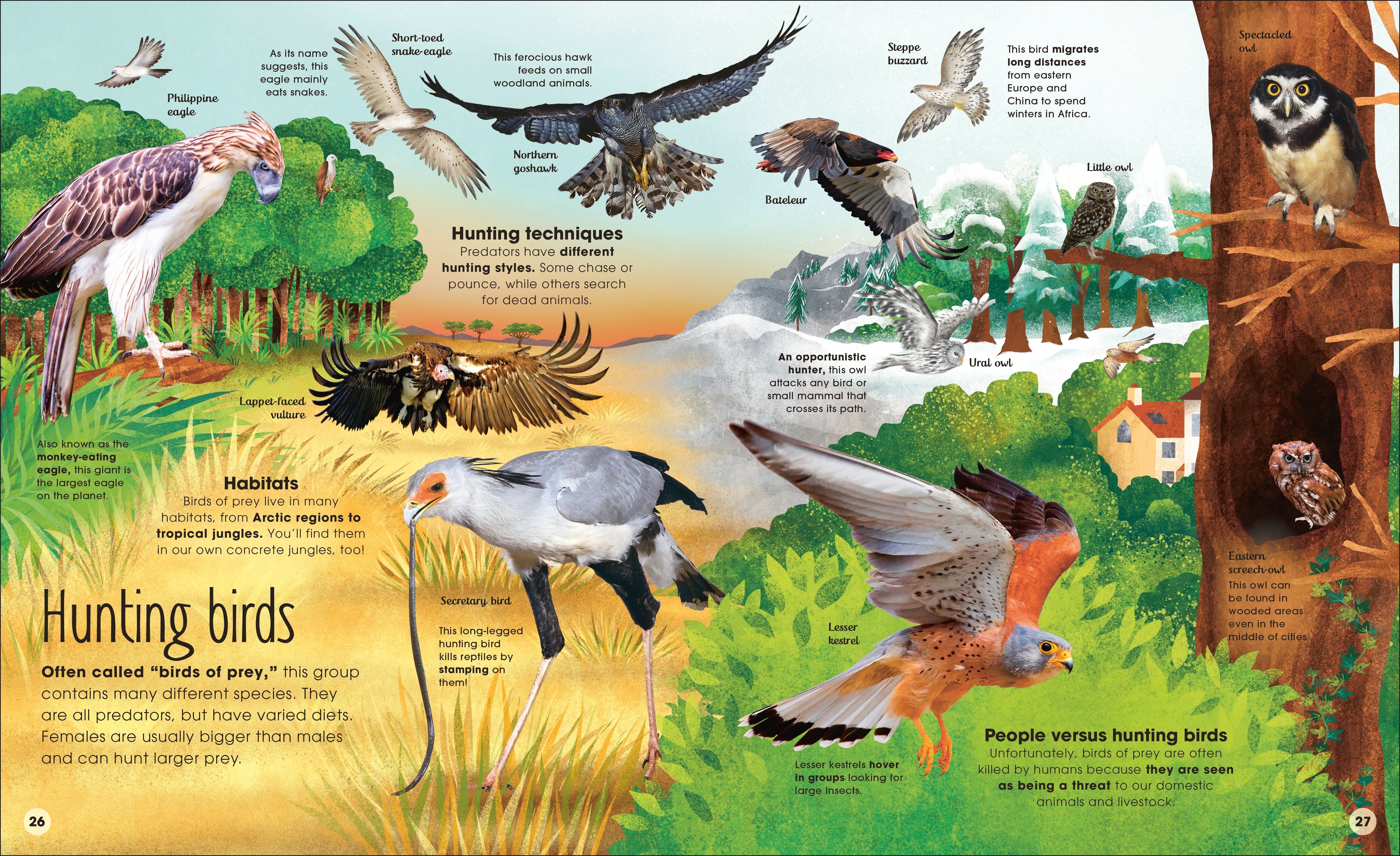 The Extraordinary World of Birds - Image 3