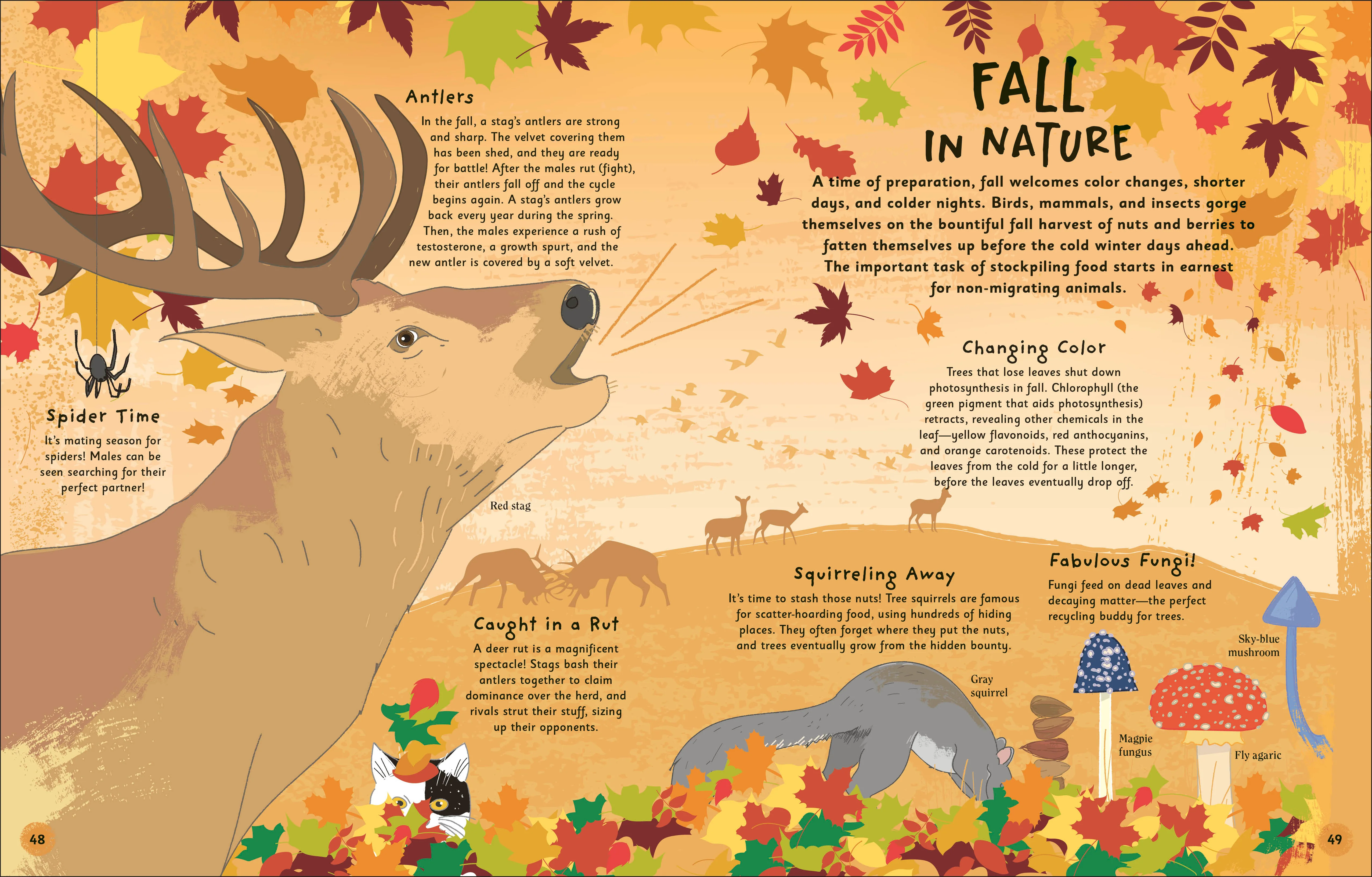 The Magic of Seasons - Image 5