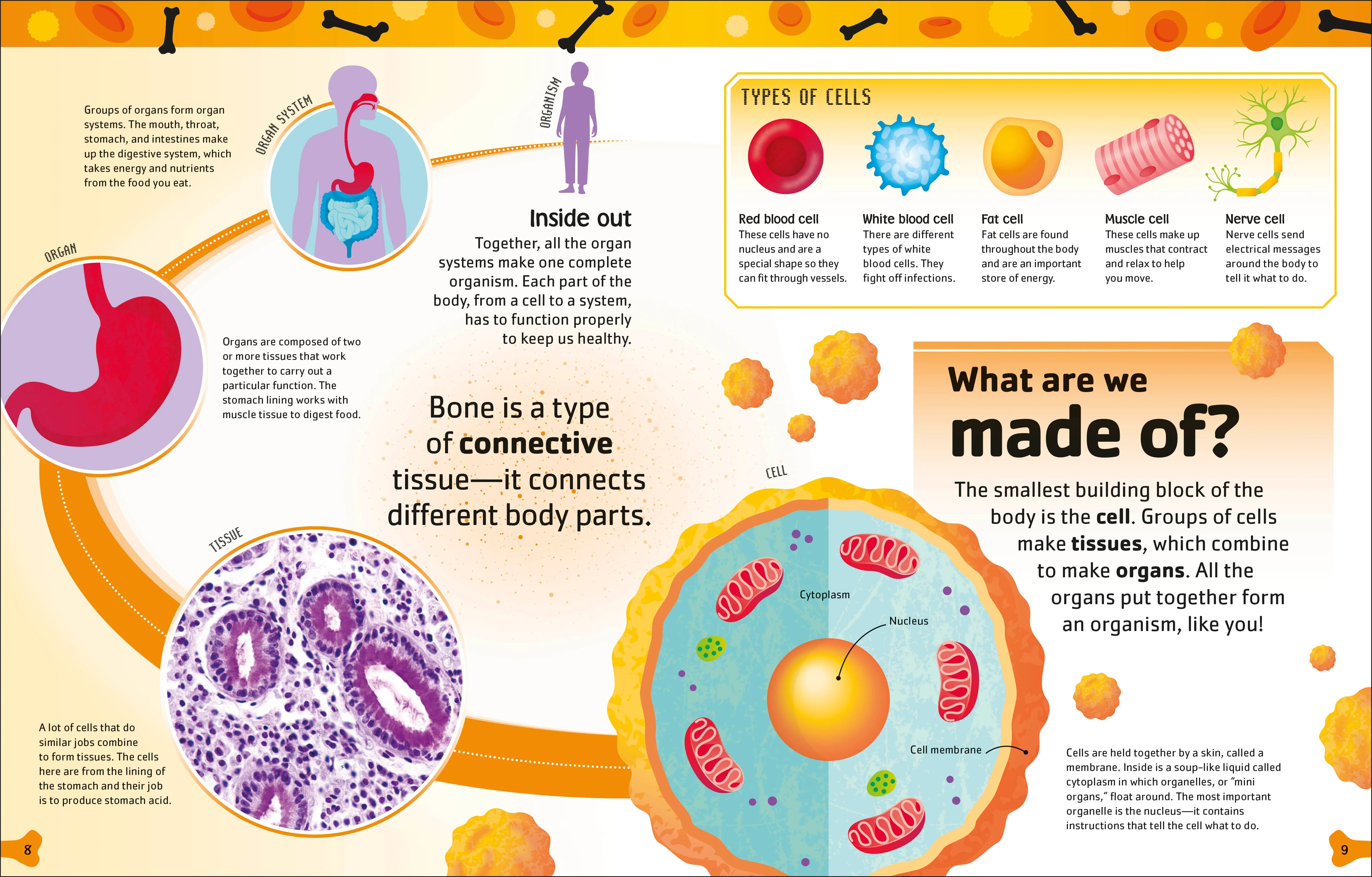 The Body Book - Image 2
