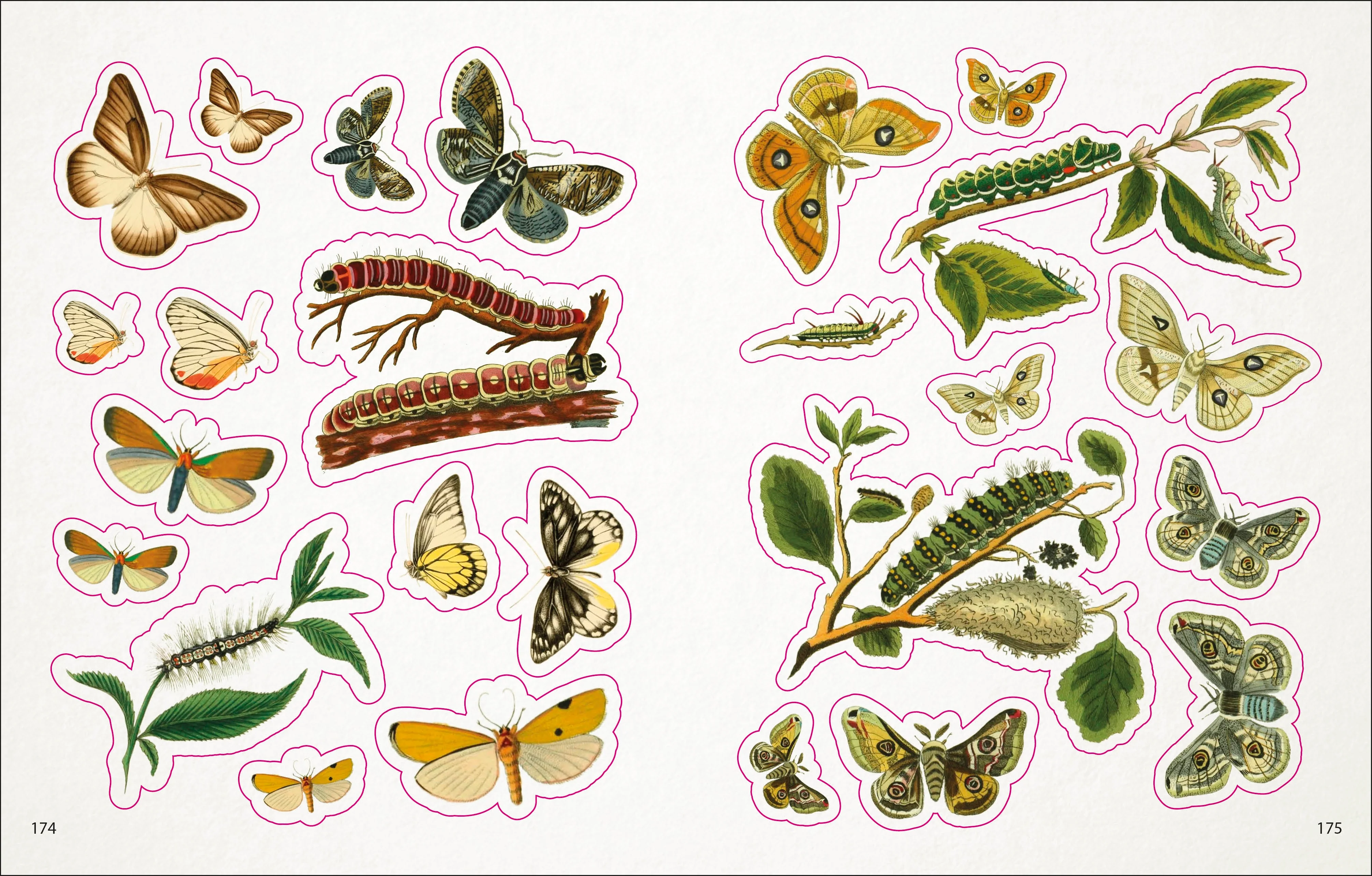 The Bees, Birds & Butterflies Sticker Anthology - Image 3