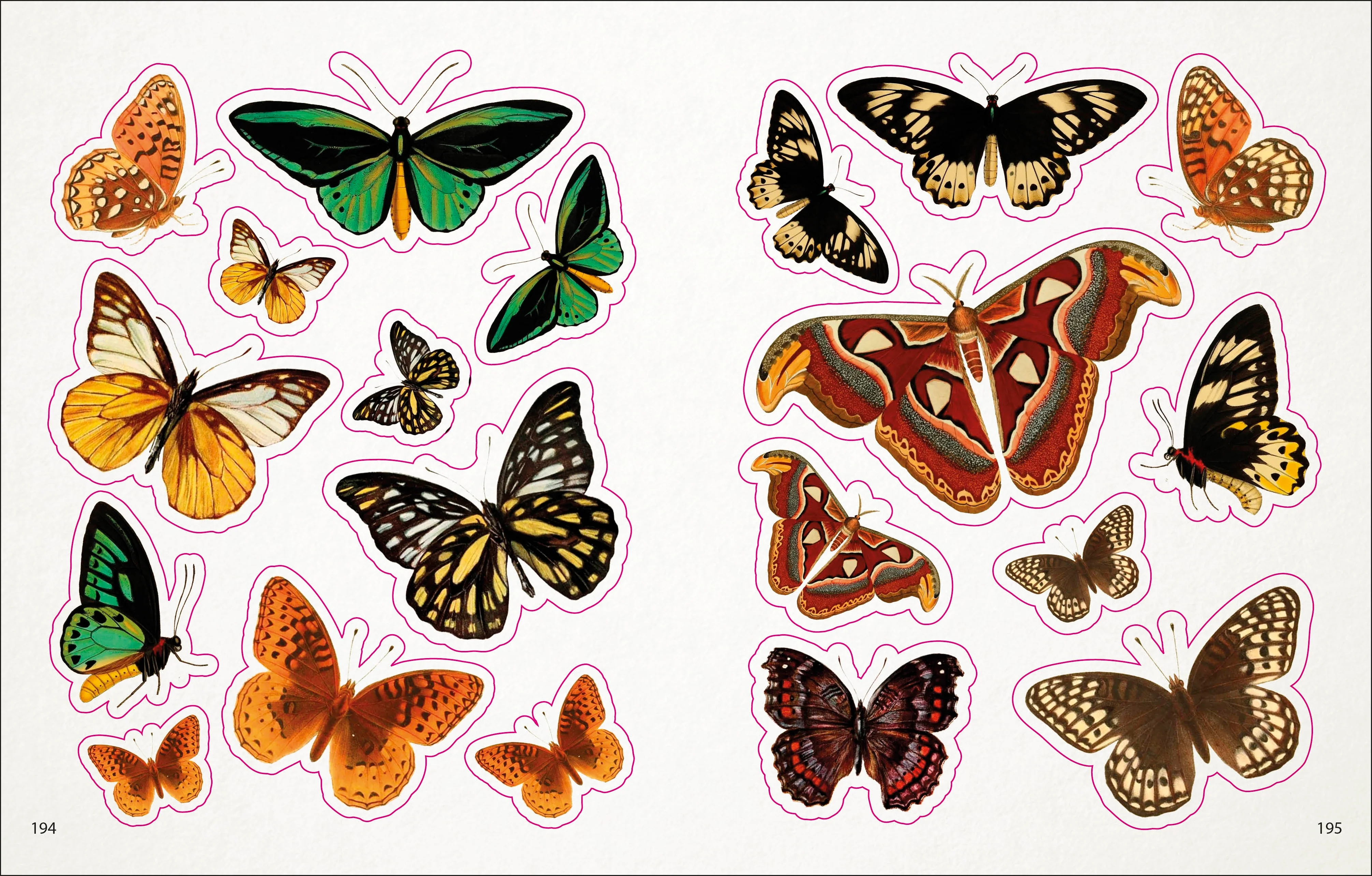 The Bees, Birds & Butterflies Sticker Anthology - Image 4